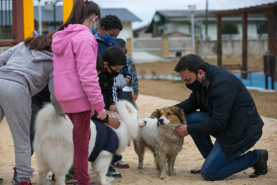 Deputado destina recursos por meio de emendas impositivas para projetos de apoio e castração de animais