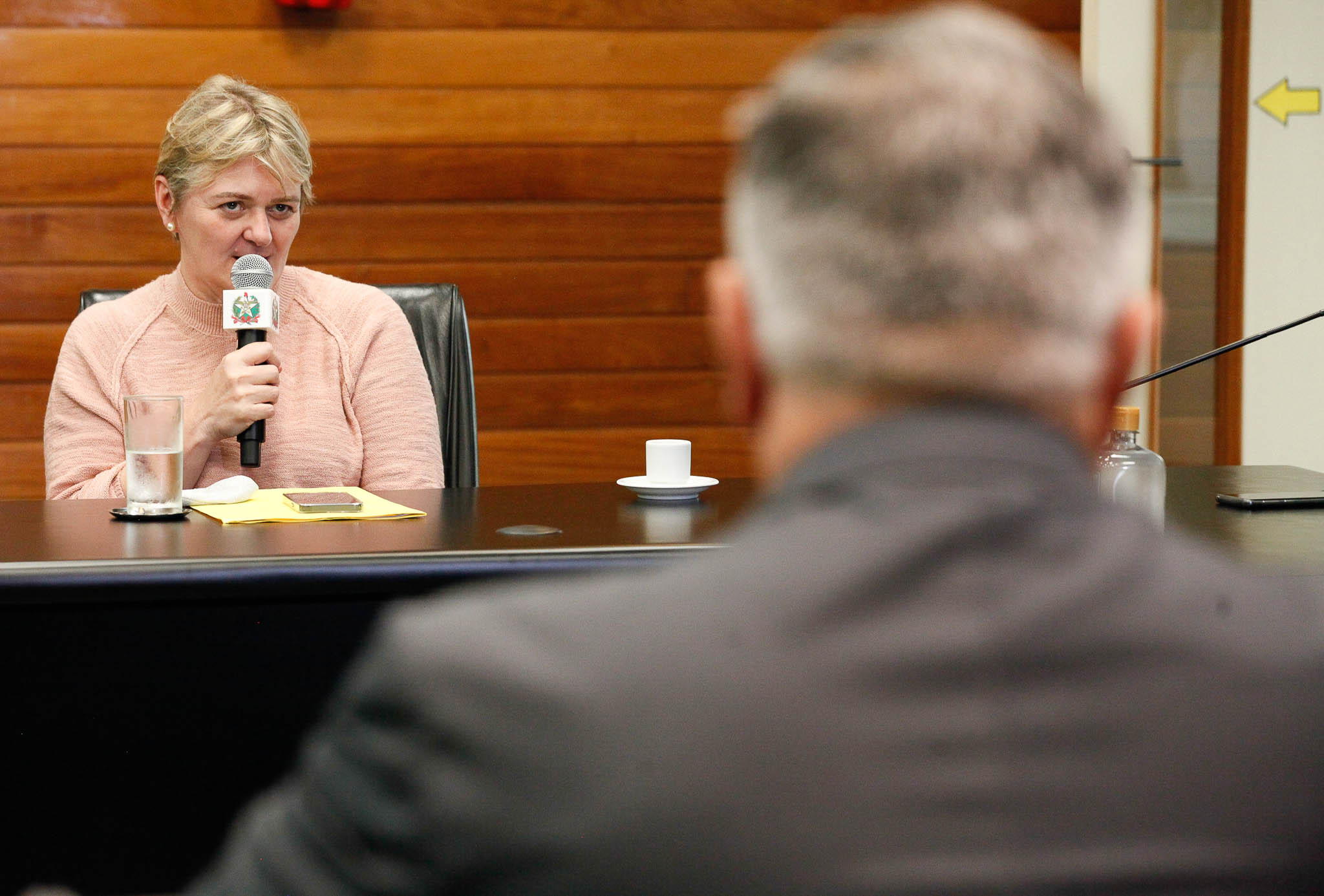 Deputada Luciane Carminatti (PT)