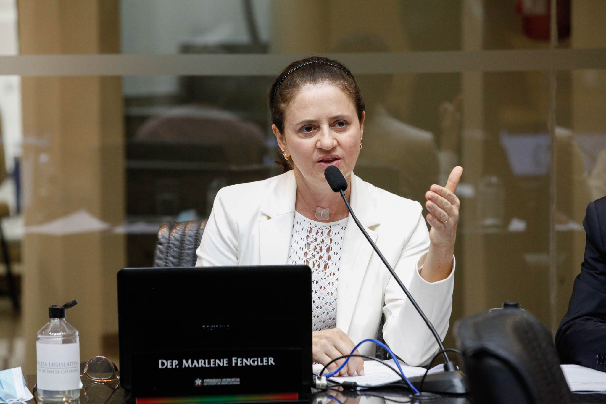 Deputada Marlene Fengler (PSD)