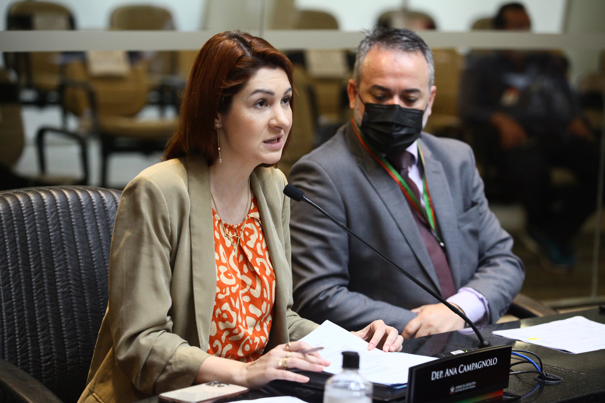 Comissão de Constituição e Justiça - Deputada Ana Caroline Campagnolo (PSL)