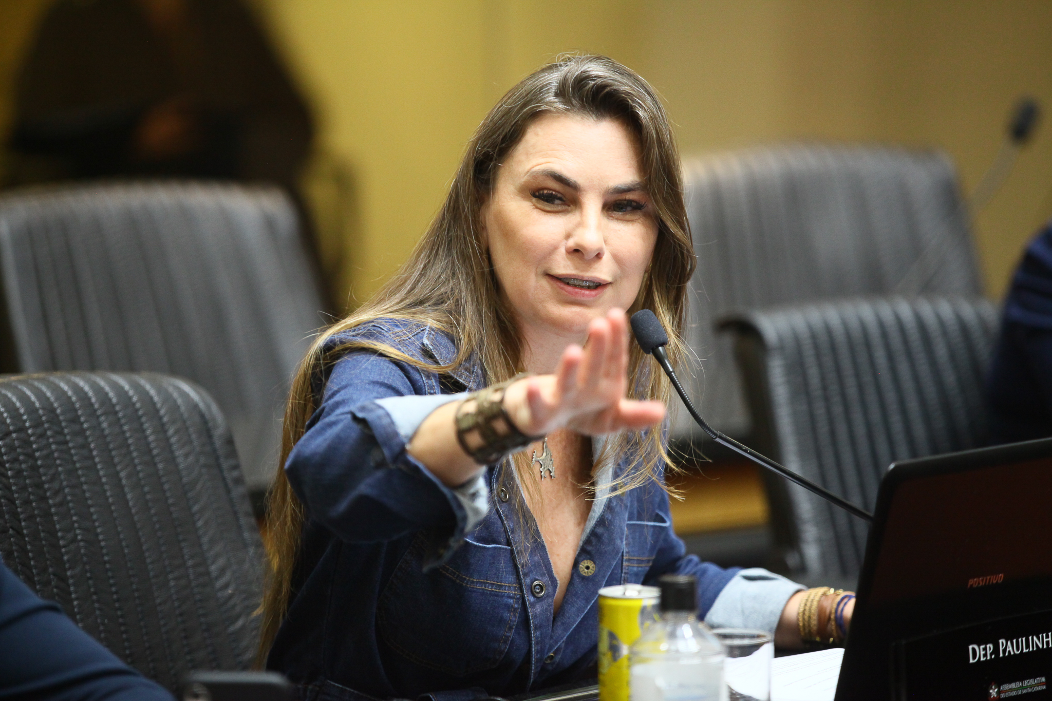 Comissão de Constituição e Justiça - Deputada Ana Paula da Silva