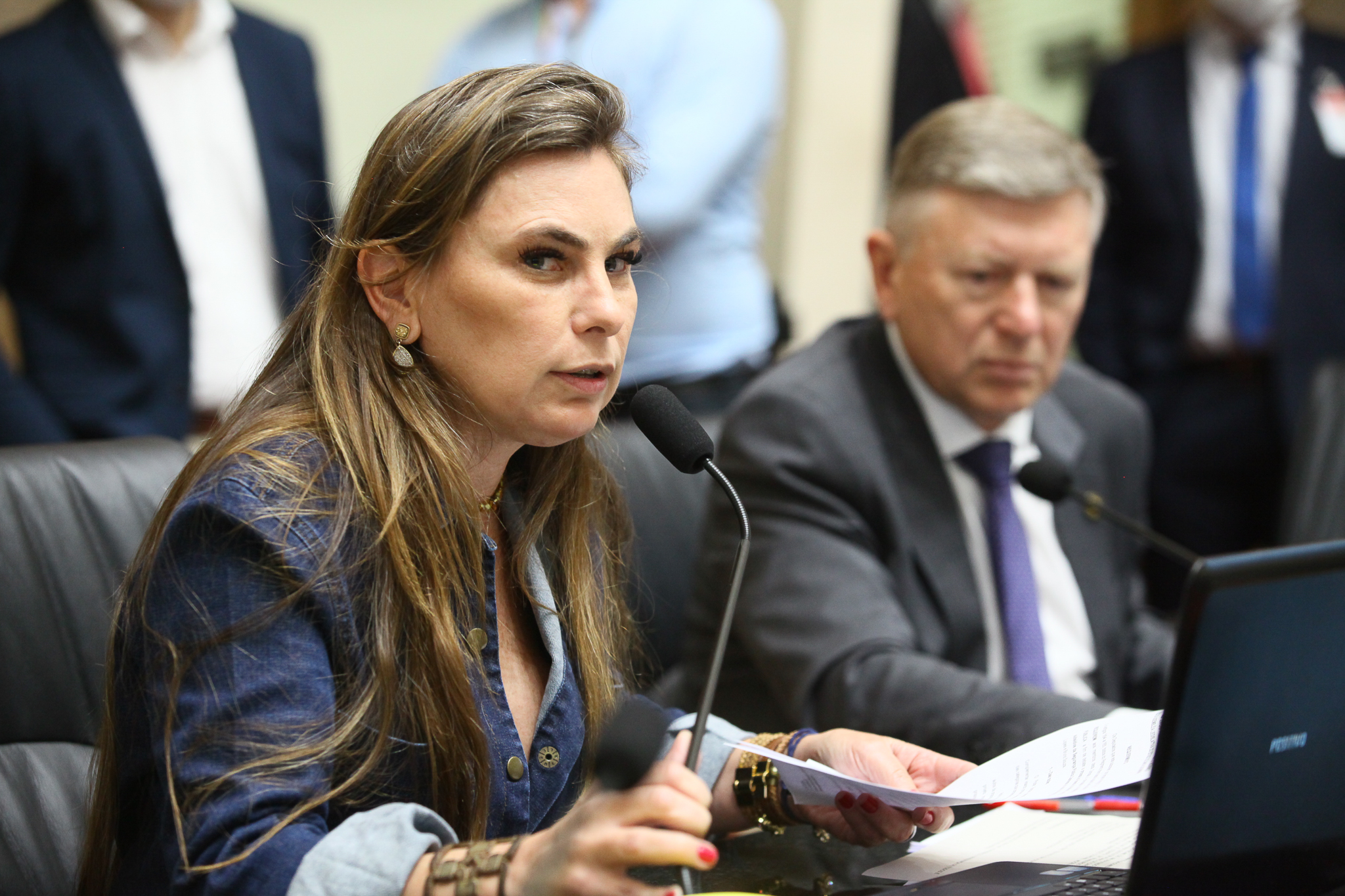 Comissão de Segurança Pública - Deputada Ana Paula da Silva