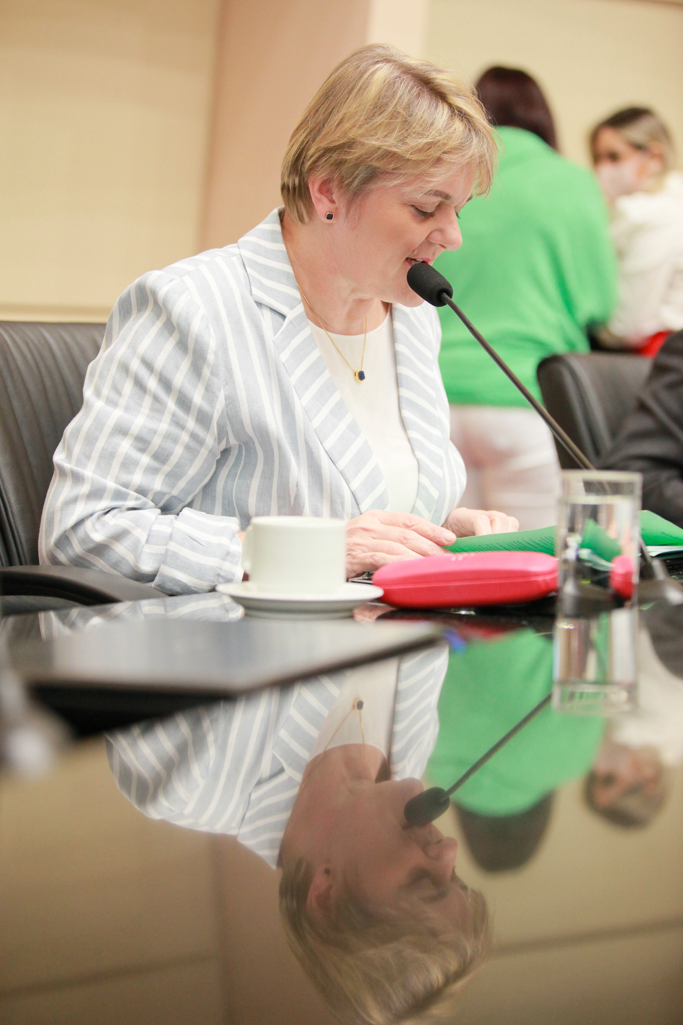 - Deputada Luciane Carminatti (PT)