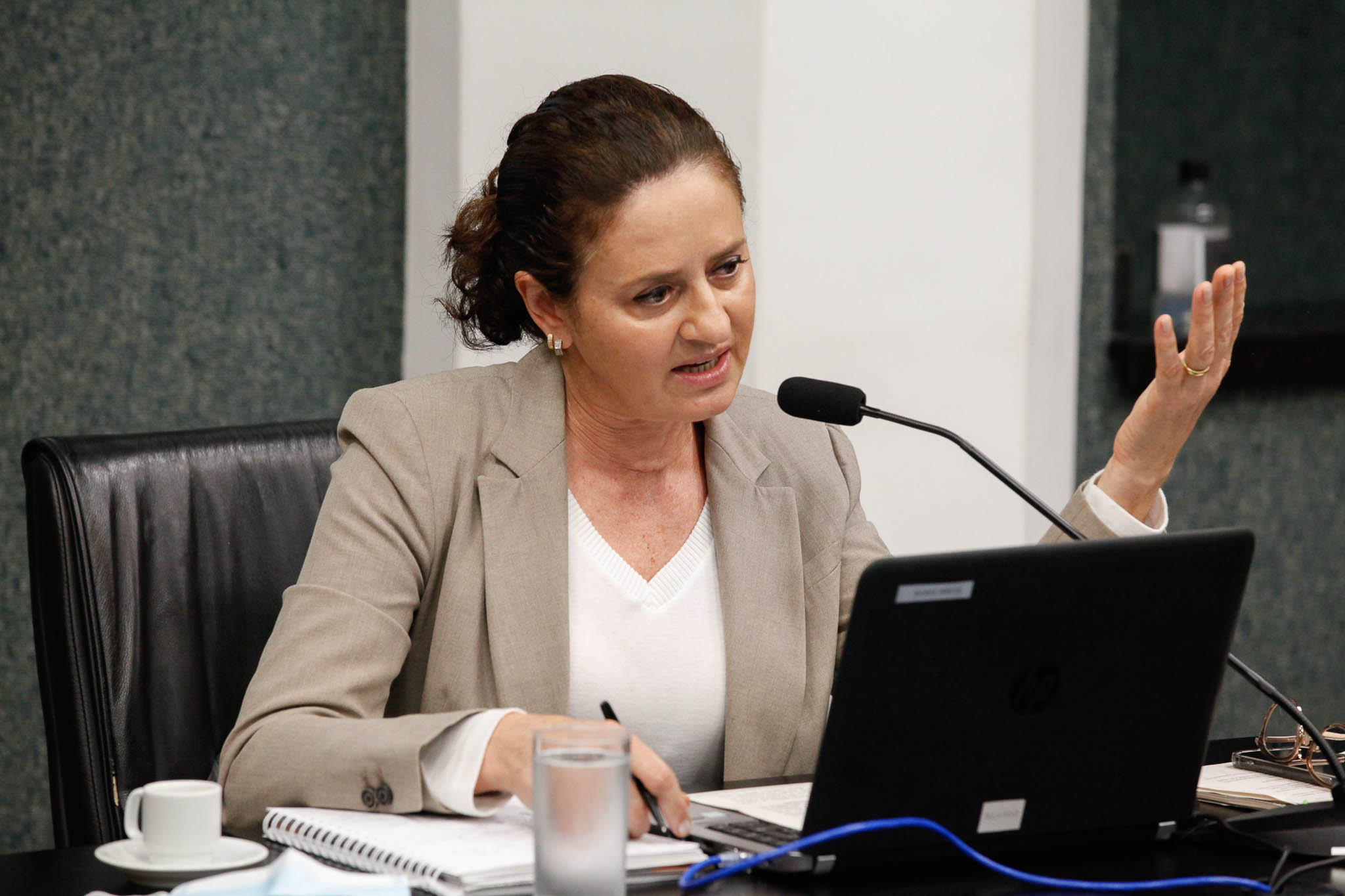 Deputada Marlene Fengler (PSD)