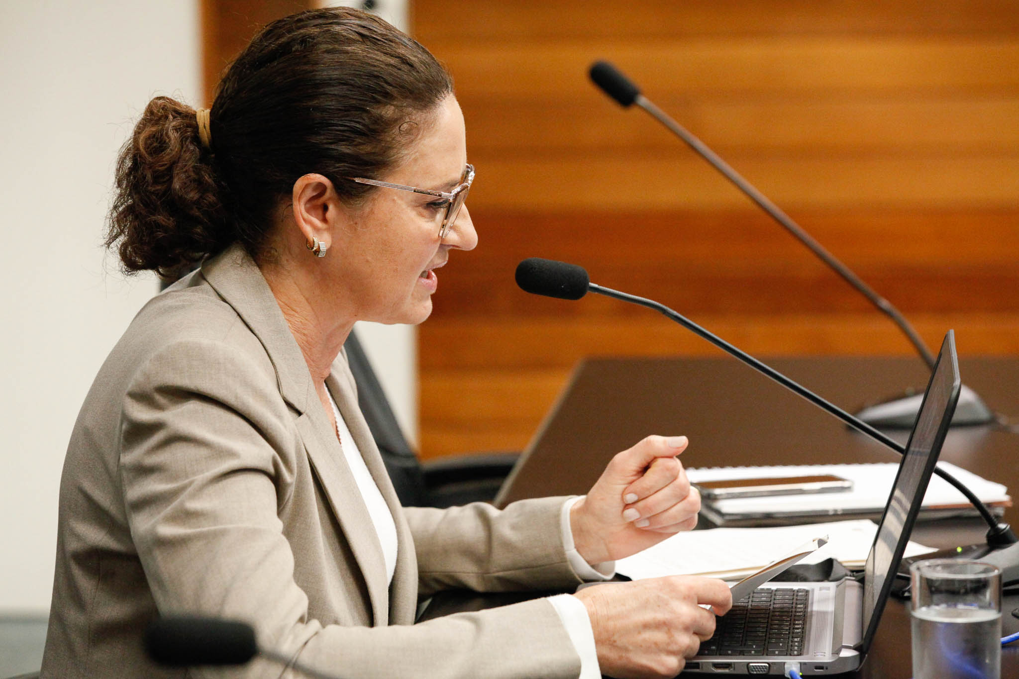 Deputada Marlene Fengler (PSD)
