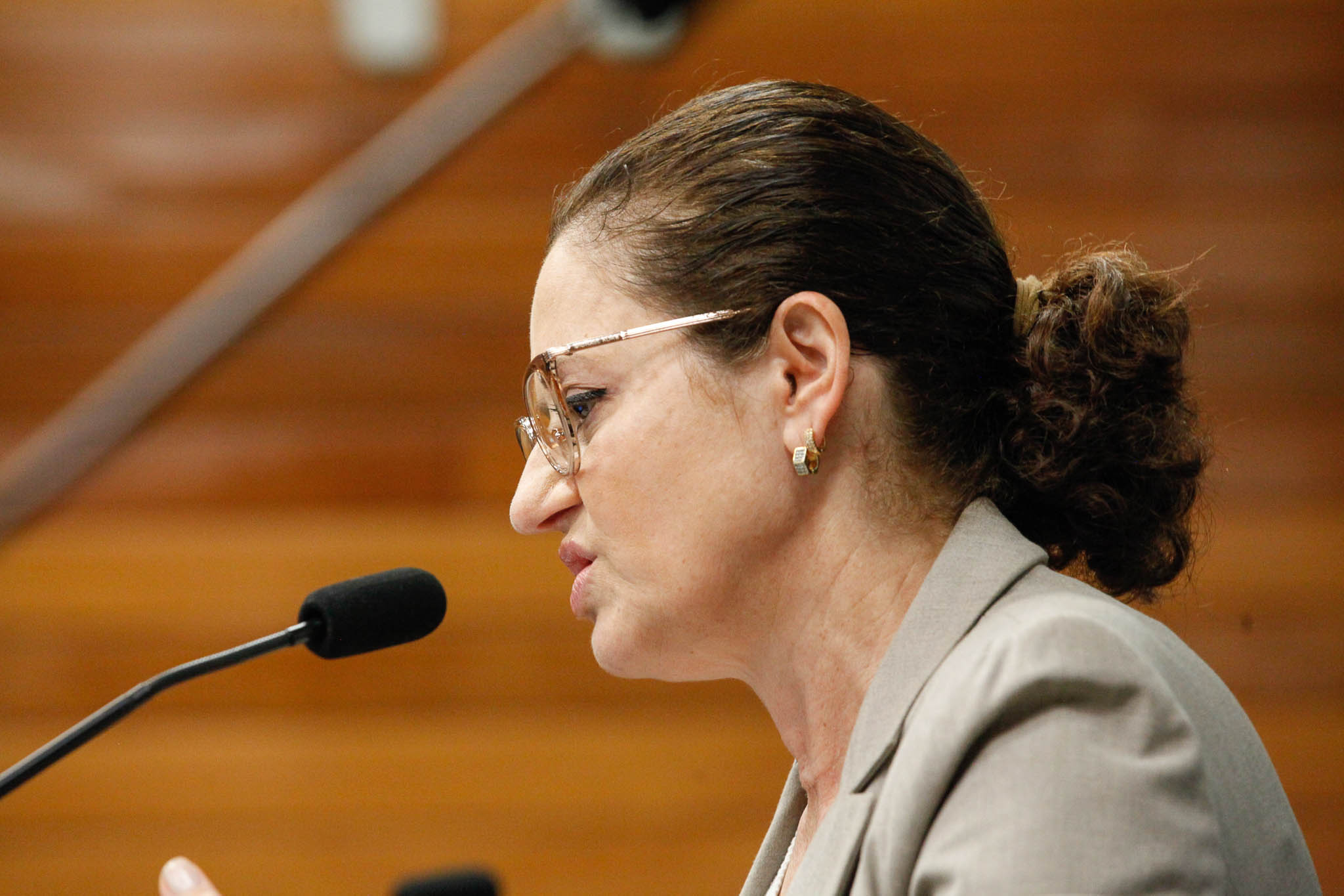 Deputada Marlene Fengler (PSD)