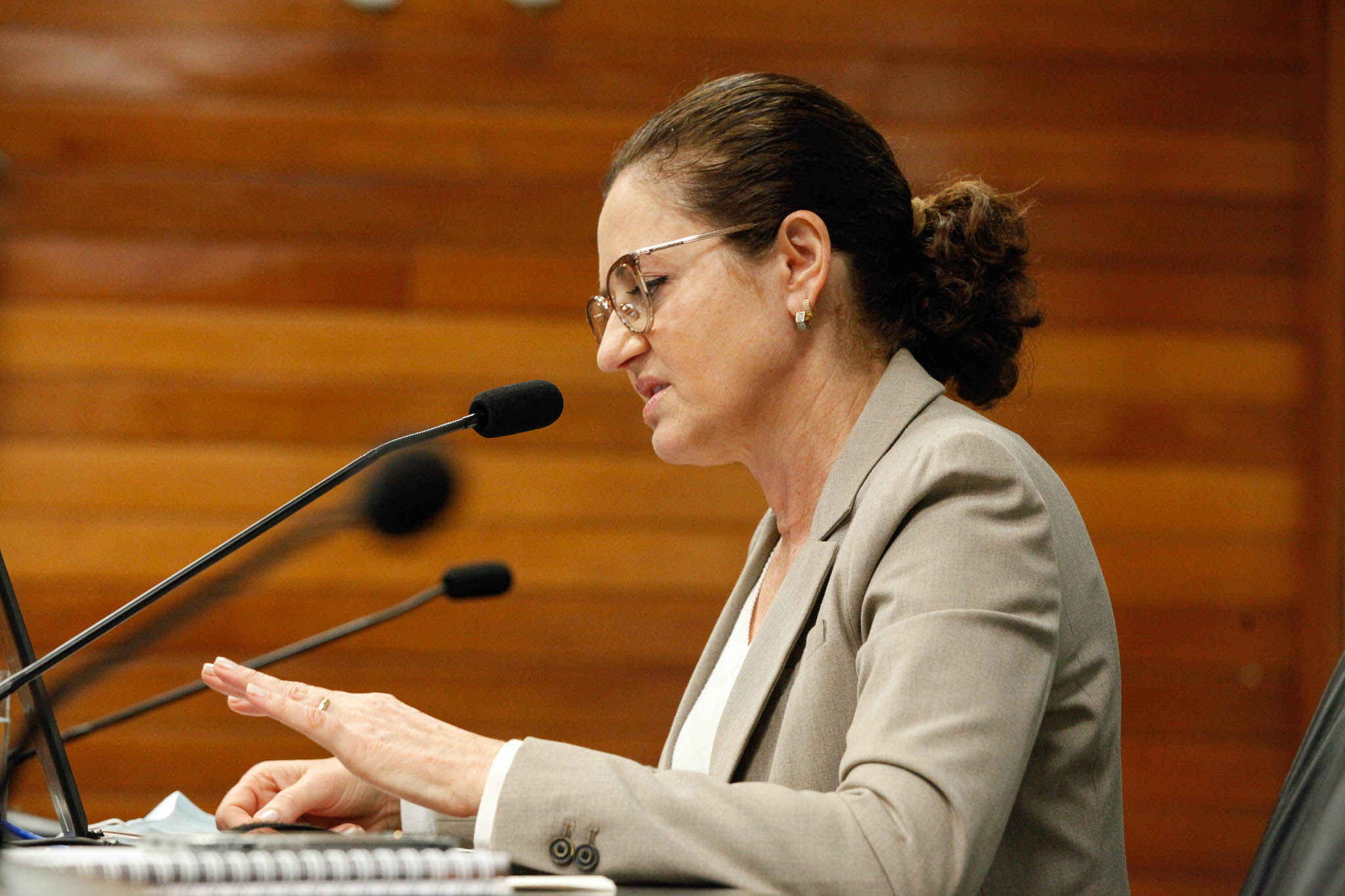 Deputada Marlene Fengler (PSD)