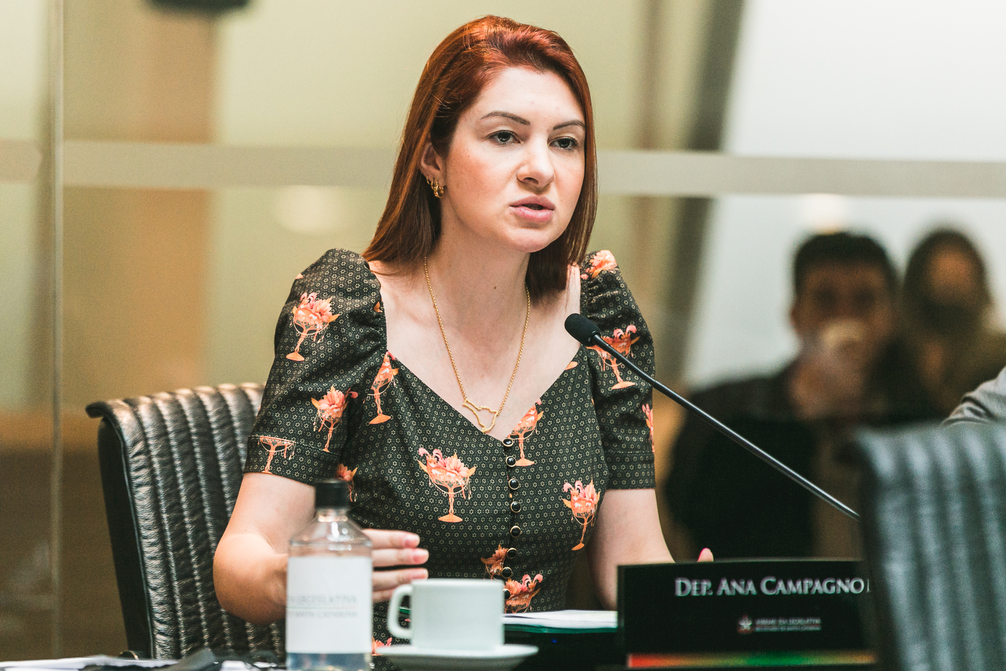 Deputada Ana Caroline Campagnolo (PSL)