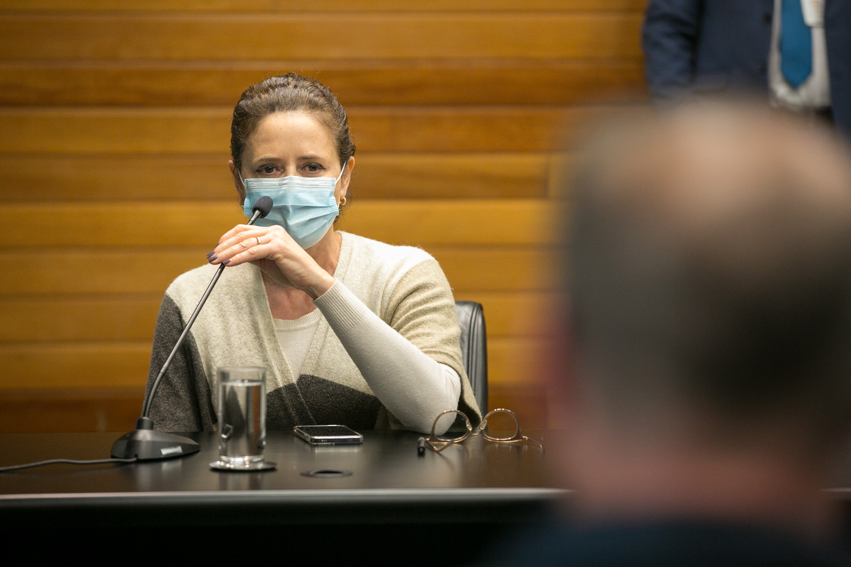 Deputada Marlene Fengler (PSD)