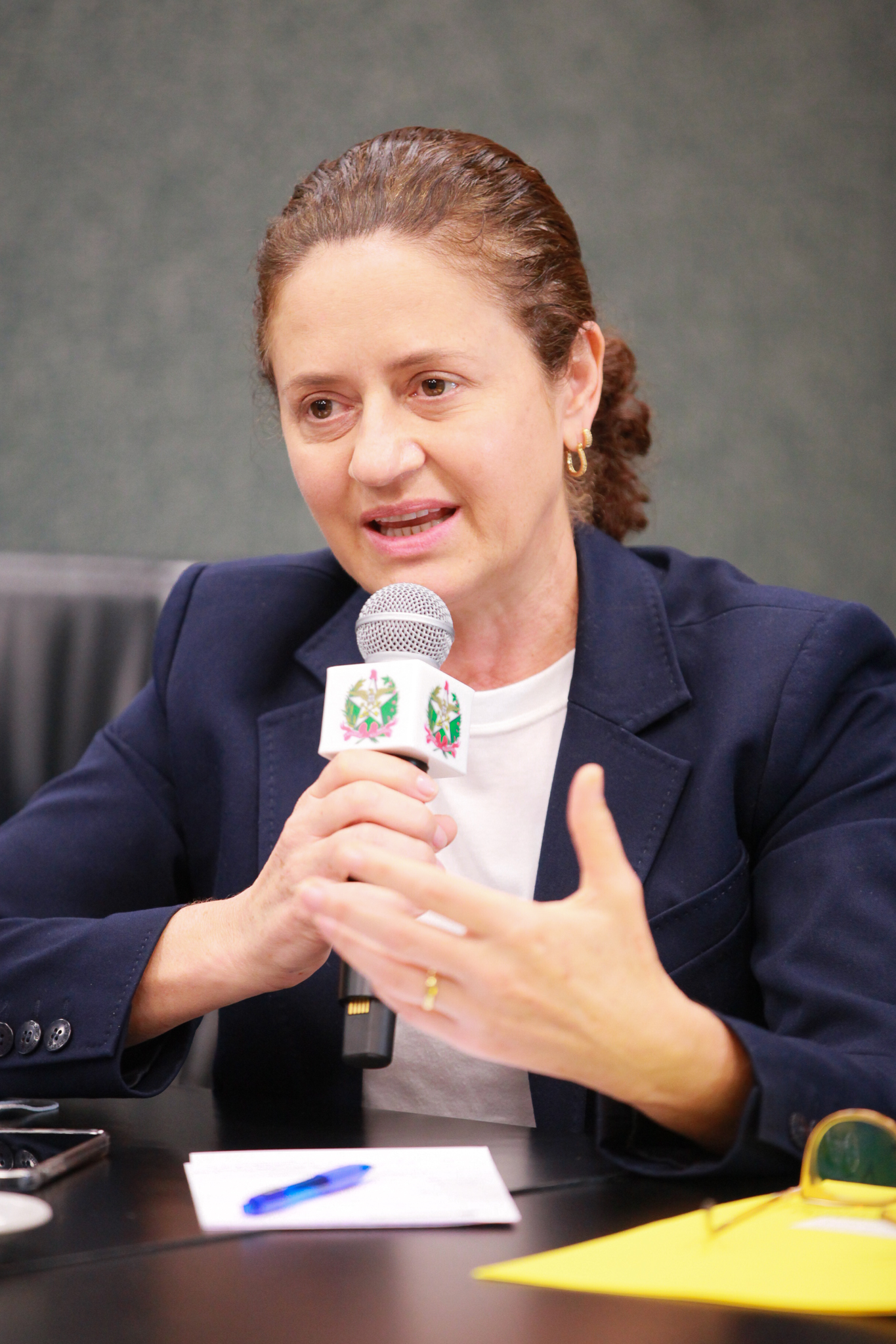 - Deputada Marlene Fengler (PSD)