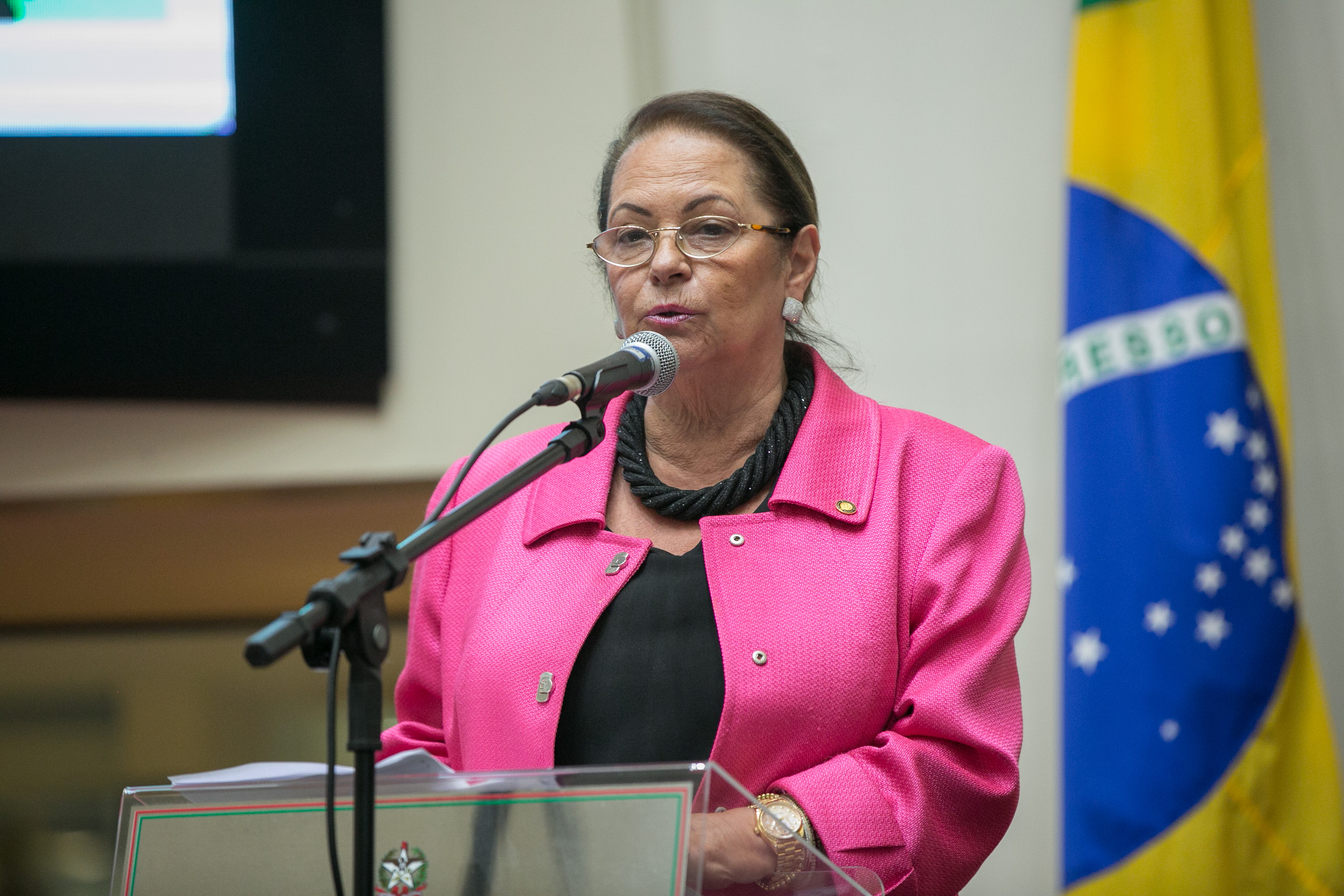 Deputada Ada De Luca (MDB)
