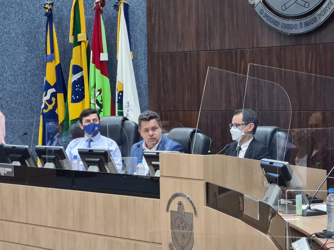 Naatz destaca ampliação do debate sobre morte de baleias no litoral de SC