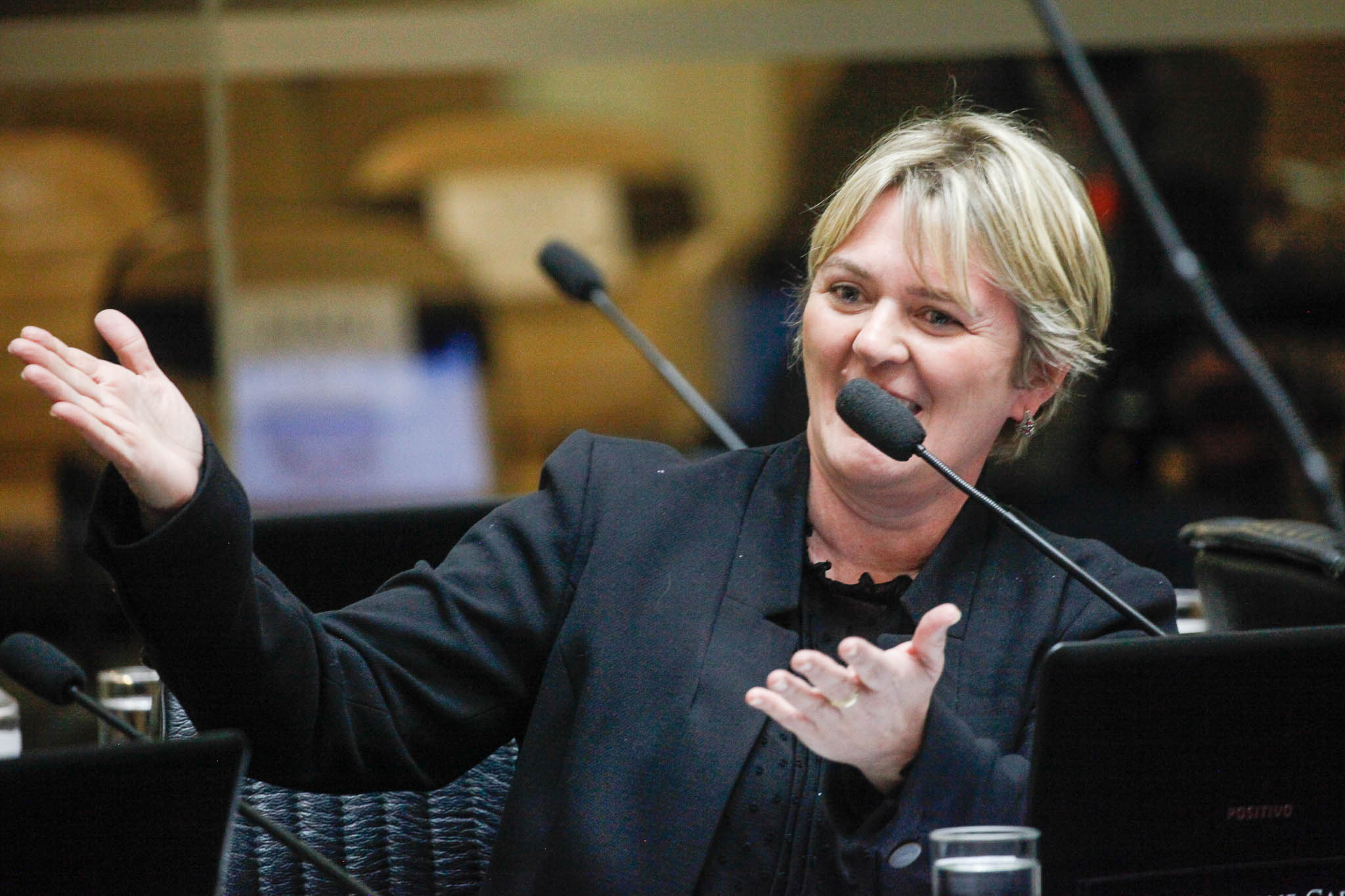 Deputada Luciane Carminatti (PT)
