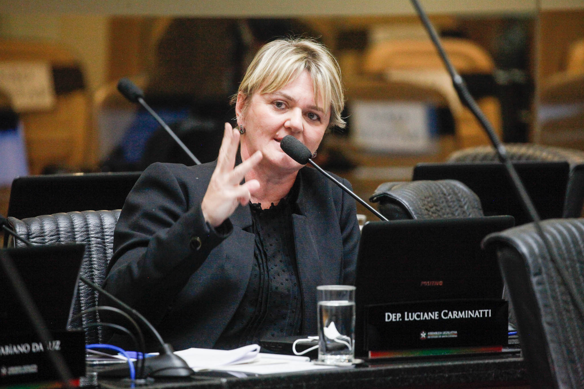Deputada Luciane Carminatti (PT)