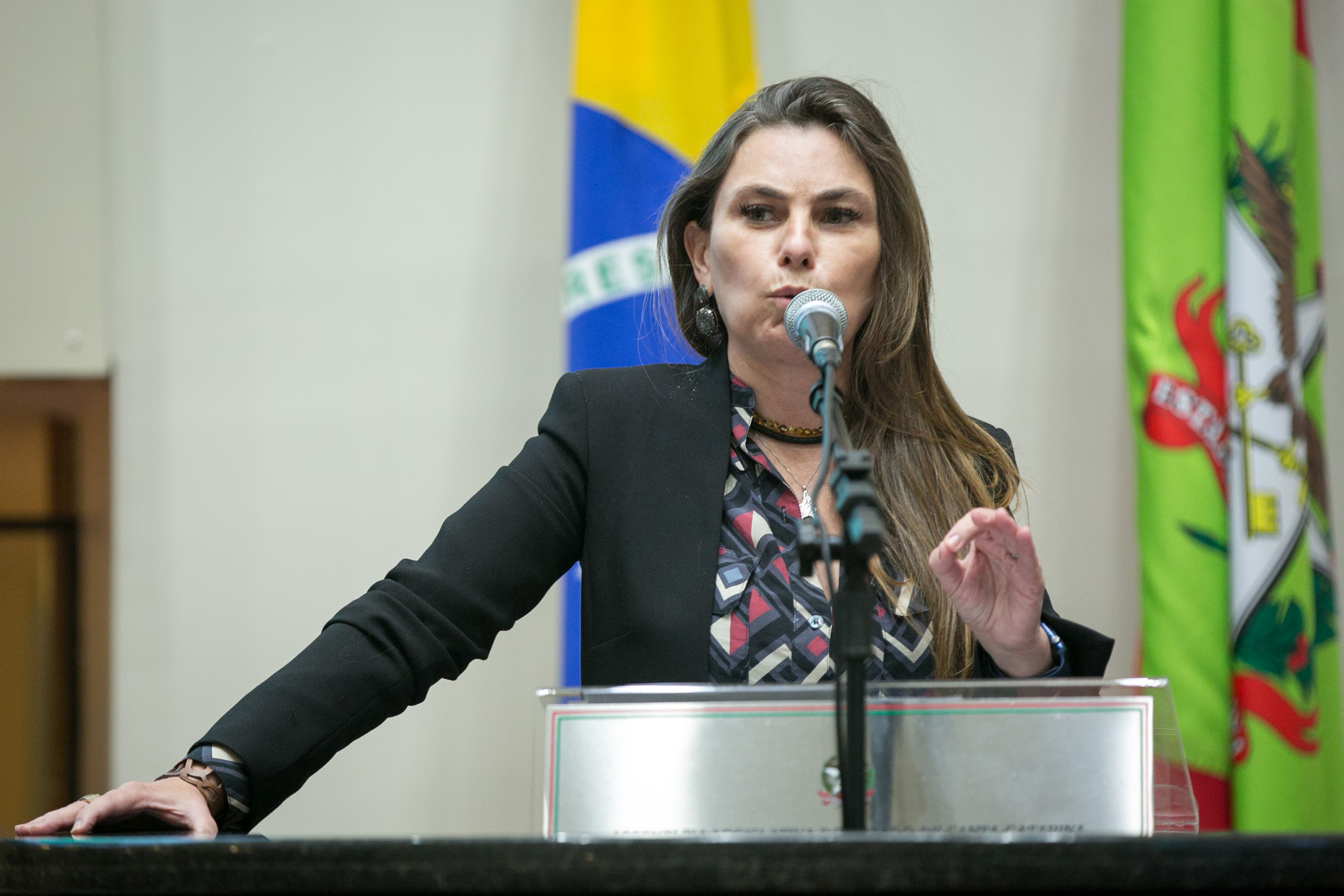 Deputada Paulinha (PDT)