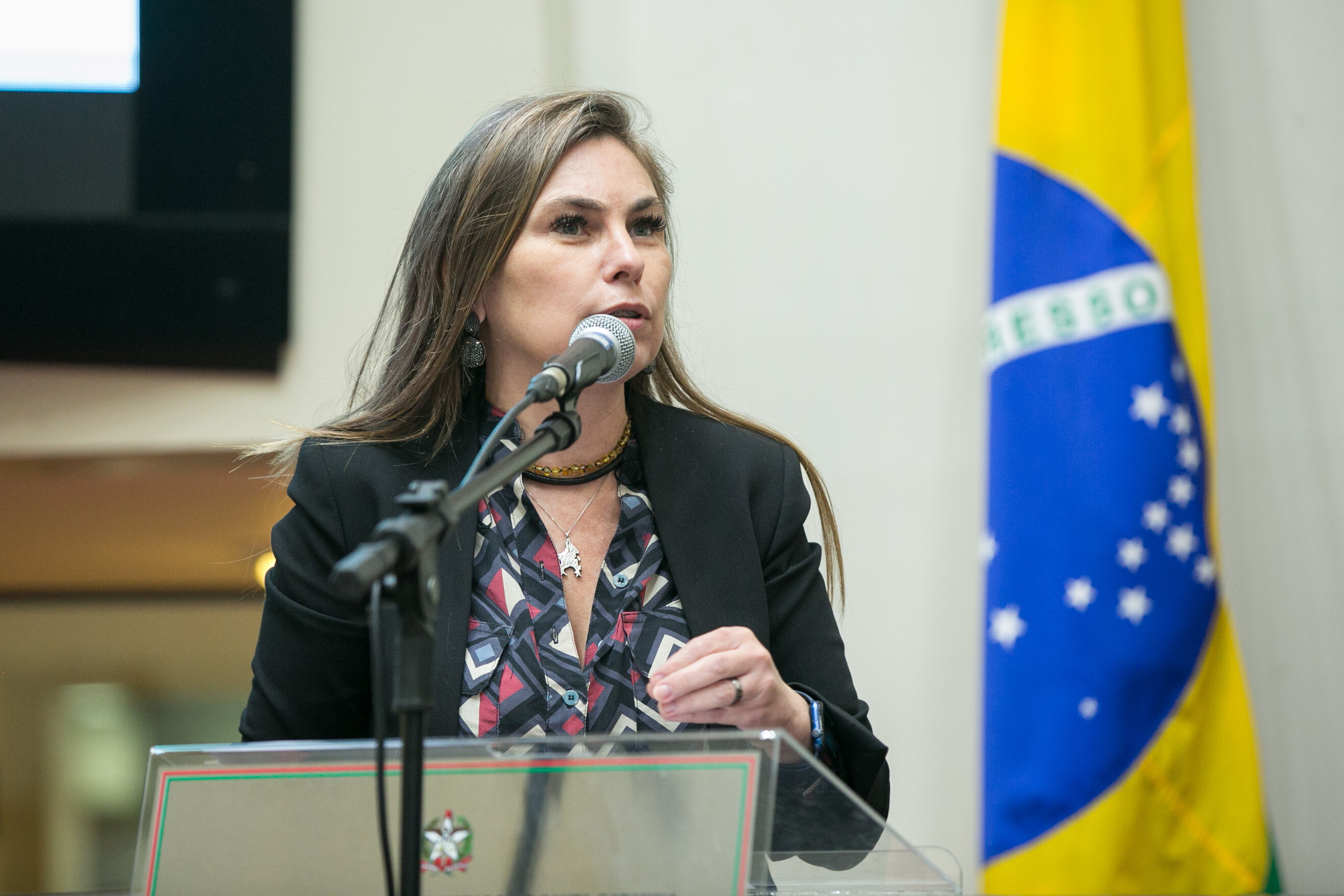 Paulinha: ataques ao governo são infundados e questão da PC está superada