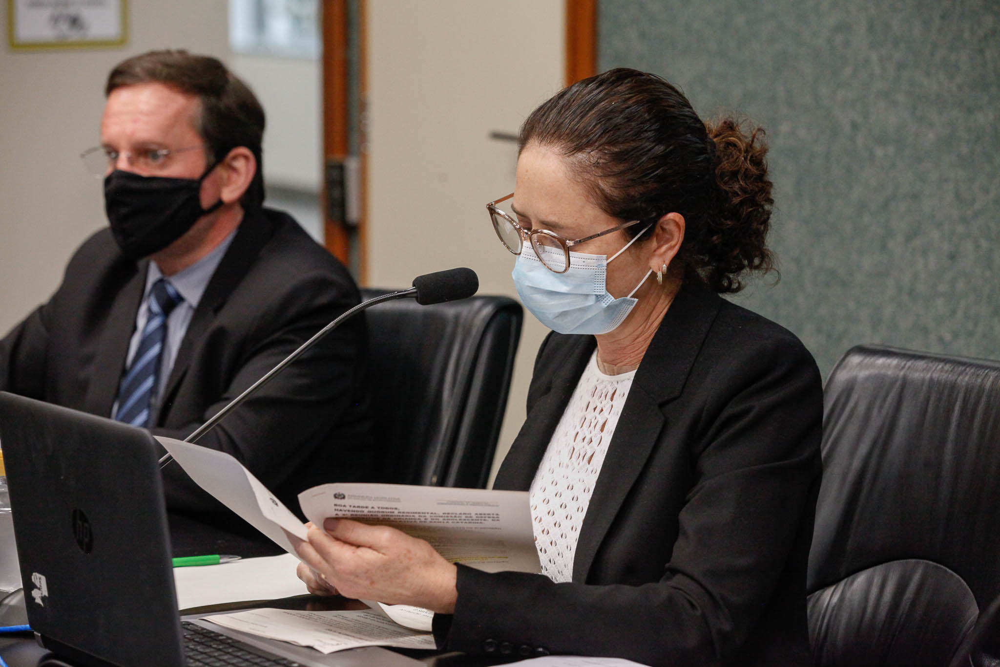 Deputado Jair Miotto (PSC), Deputada Marlene Fengler (PSD)