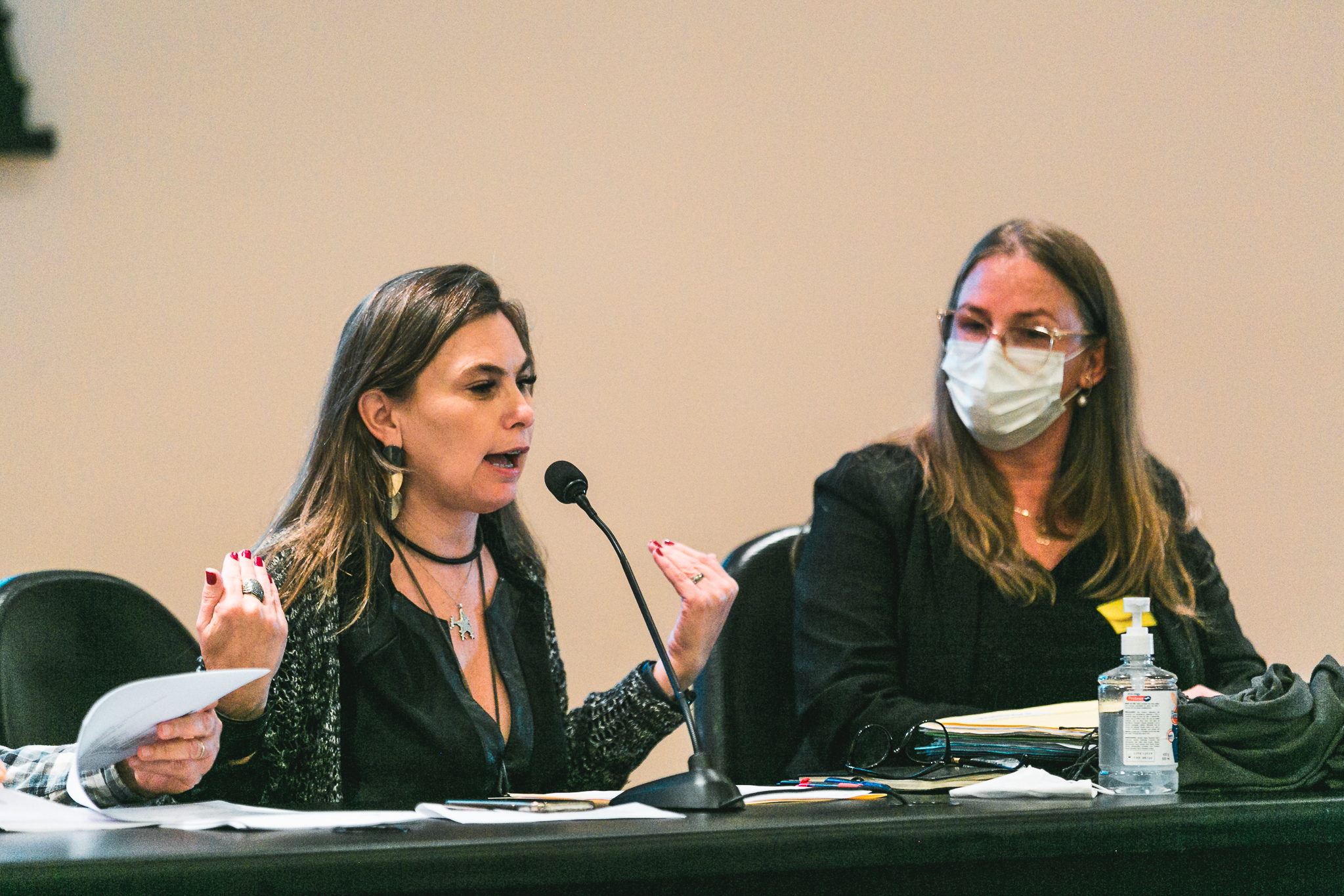 Deputada Paulinha (Sem Partido)
