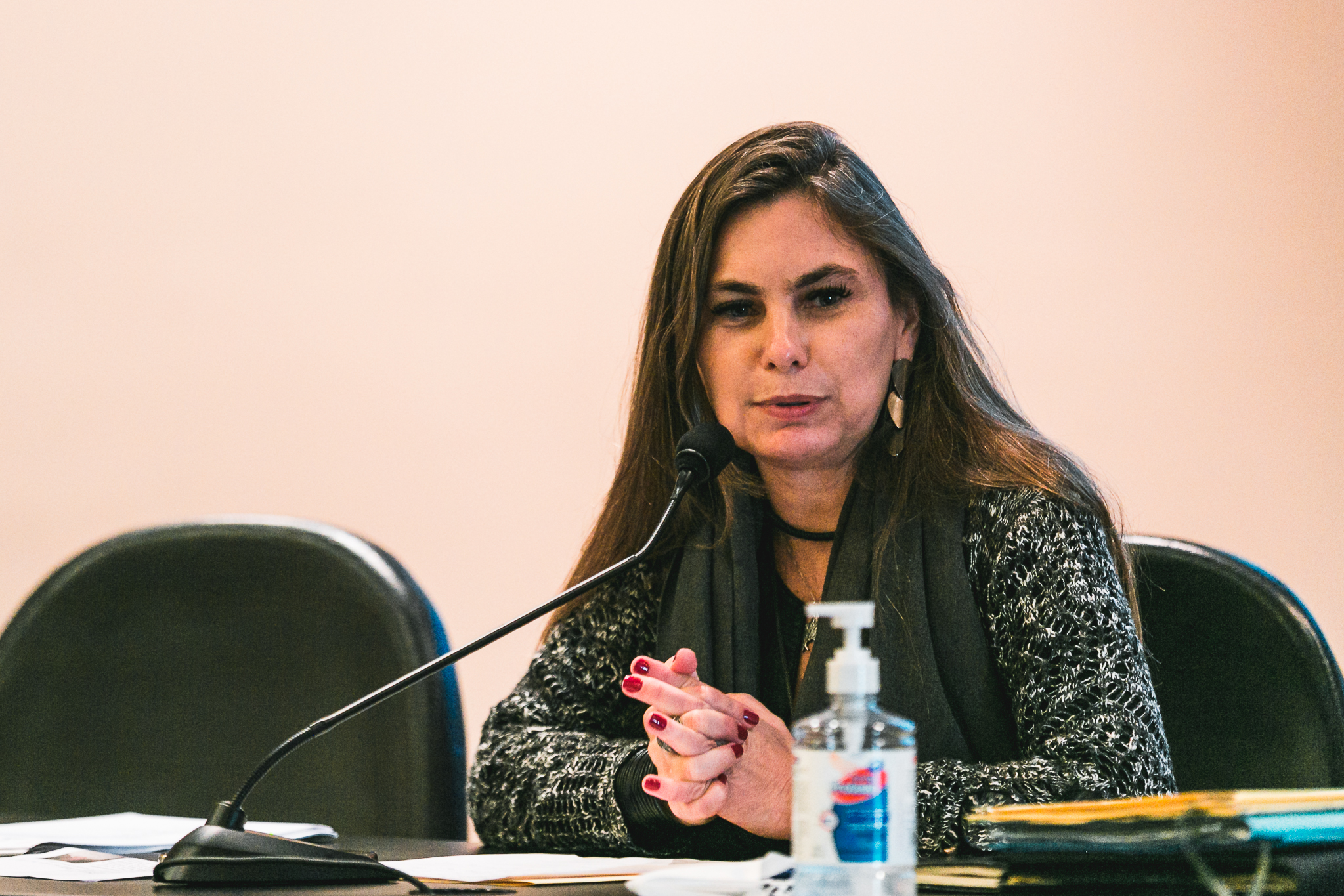 Deputada Paulinha (Sem Partido)