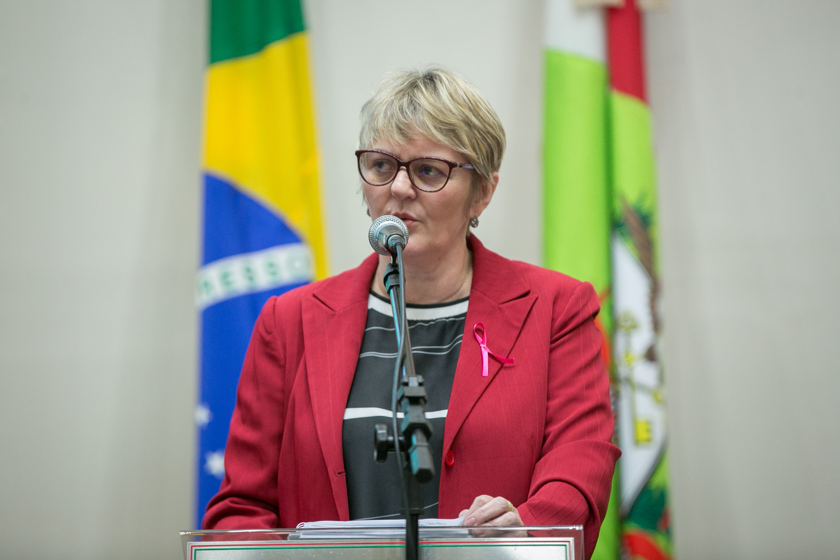 Deputada Luciane Carminatti (PT)