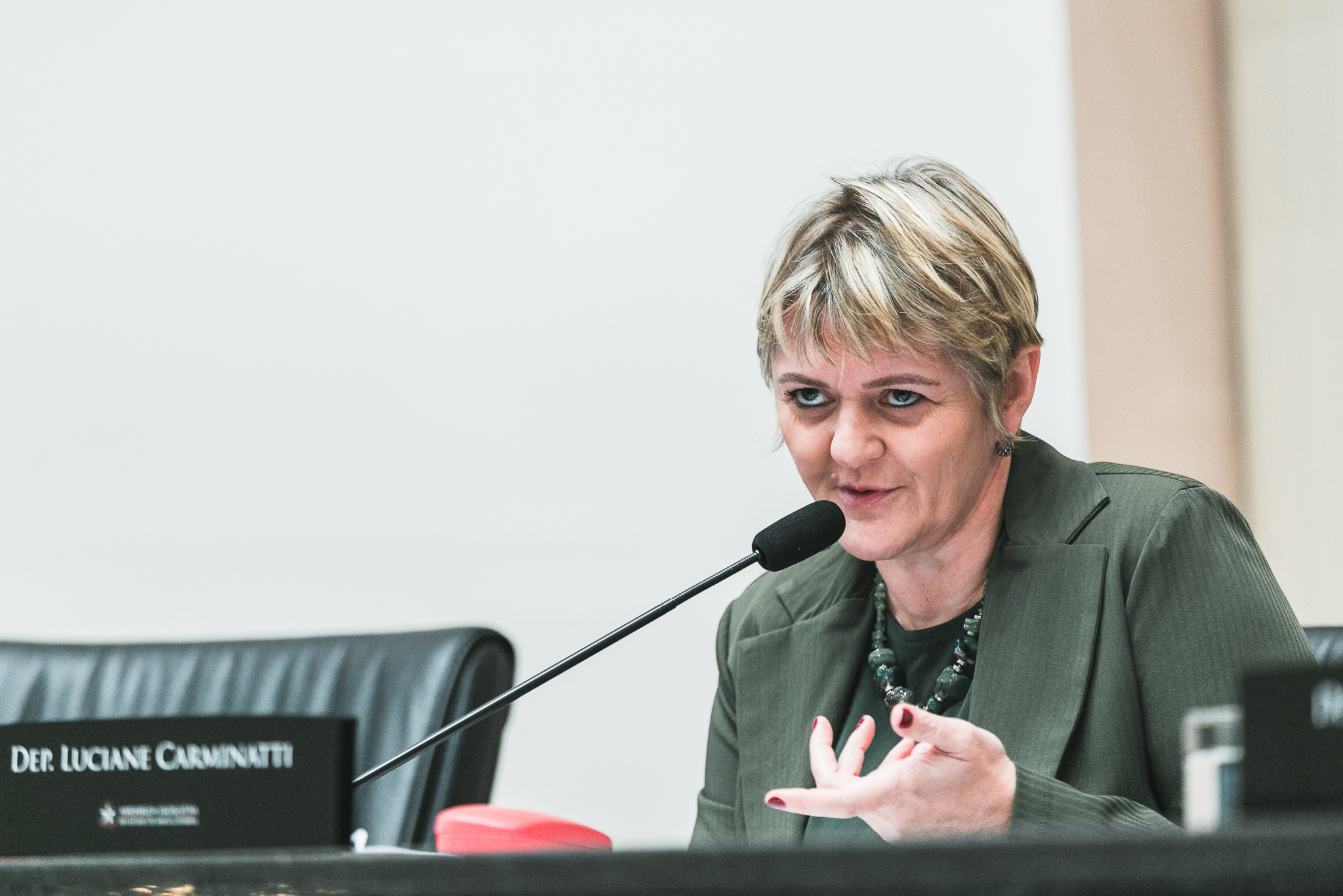 Deputada Luciane Carminatti (PT)