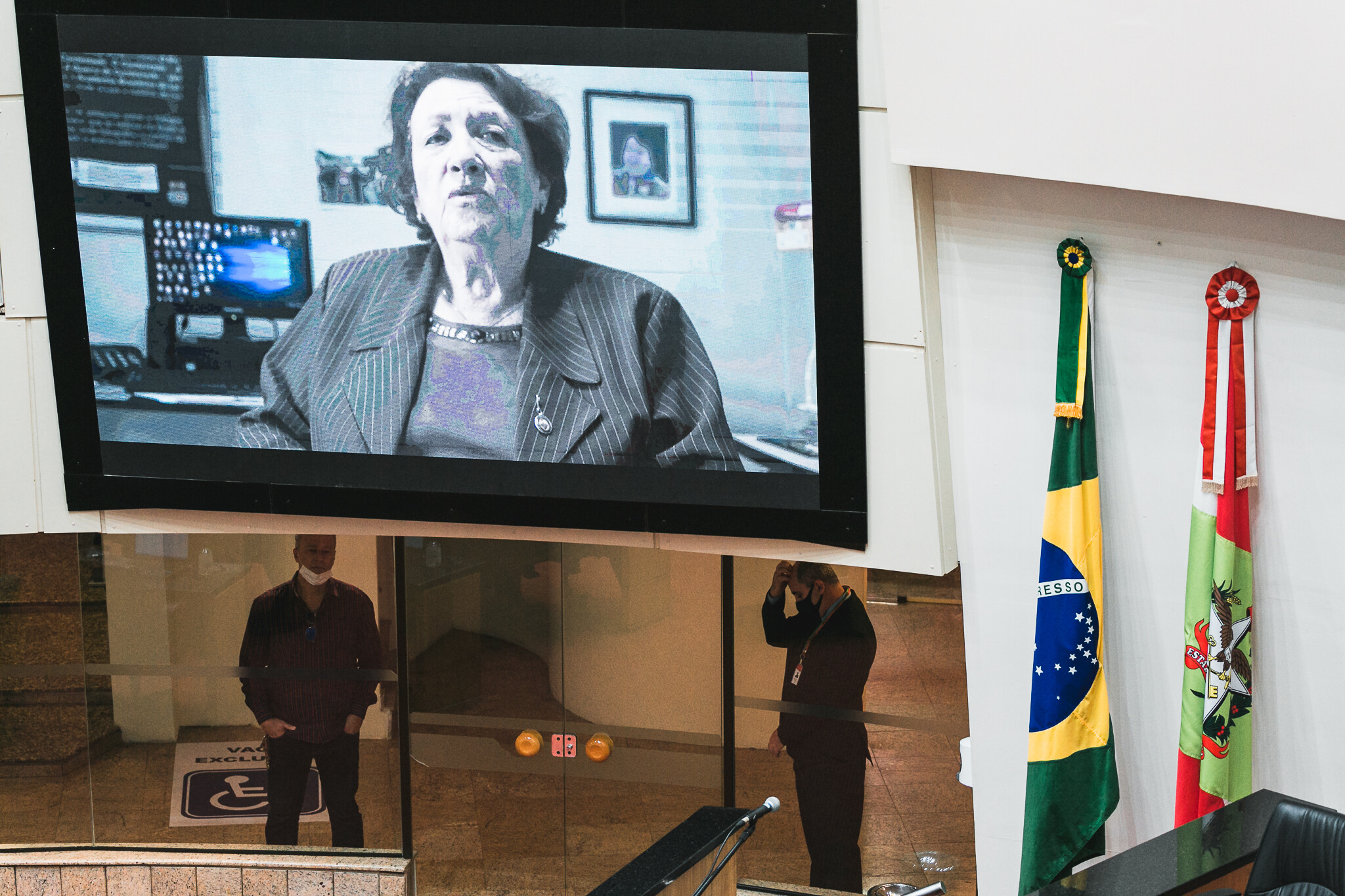 Depoimento da historiadora Rosa Maria Tesser sobre a Guerra do Contestado foi transmitido durante a sessão