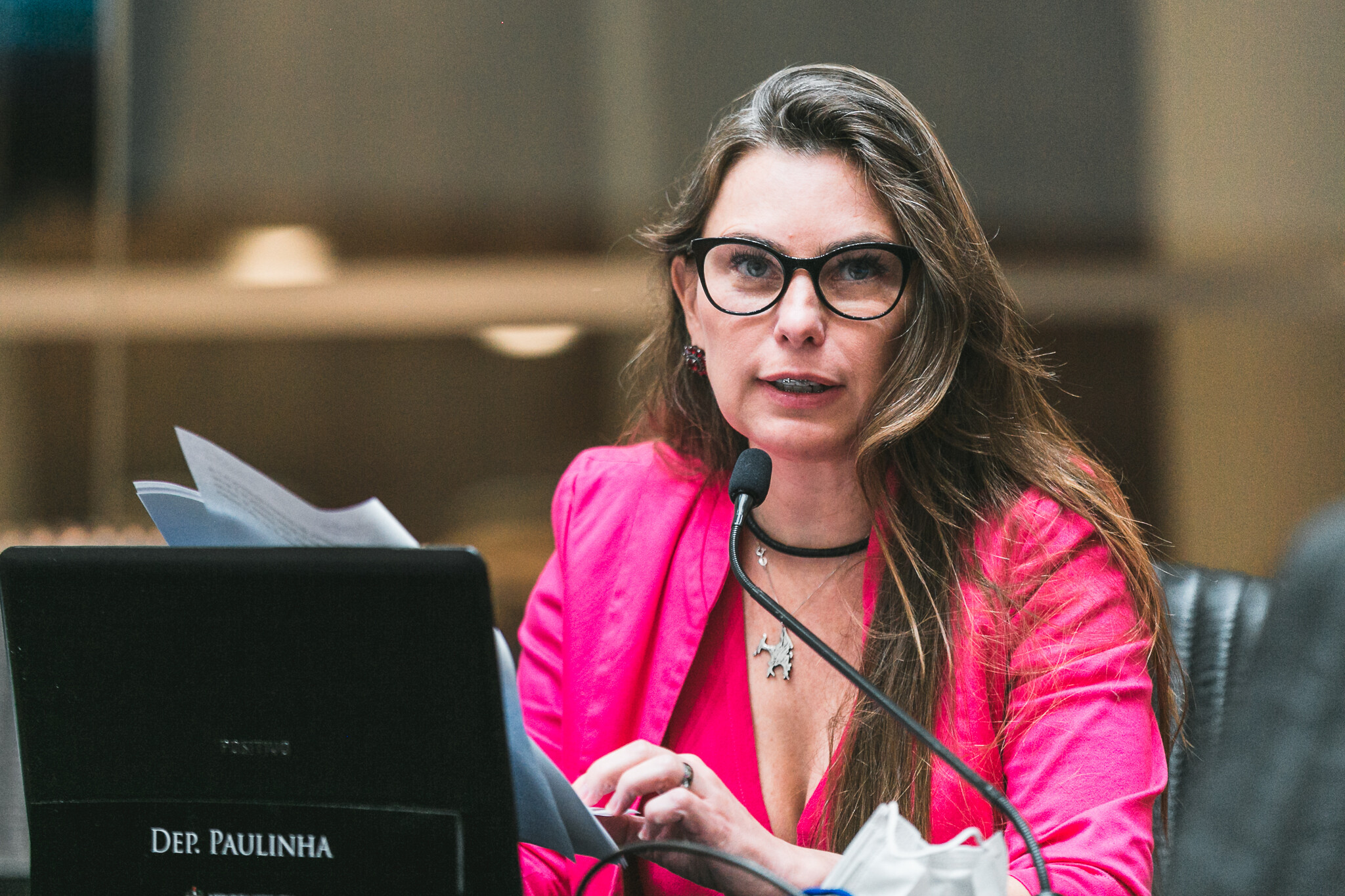 Aprovado na CCJ programa de fomento à criação de parques industriais