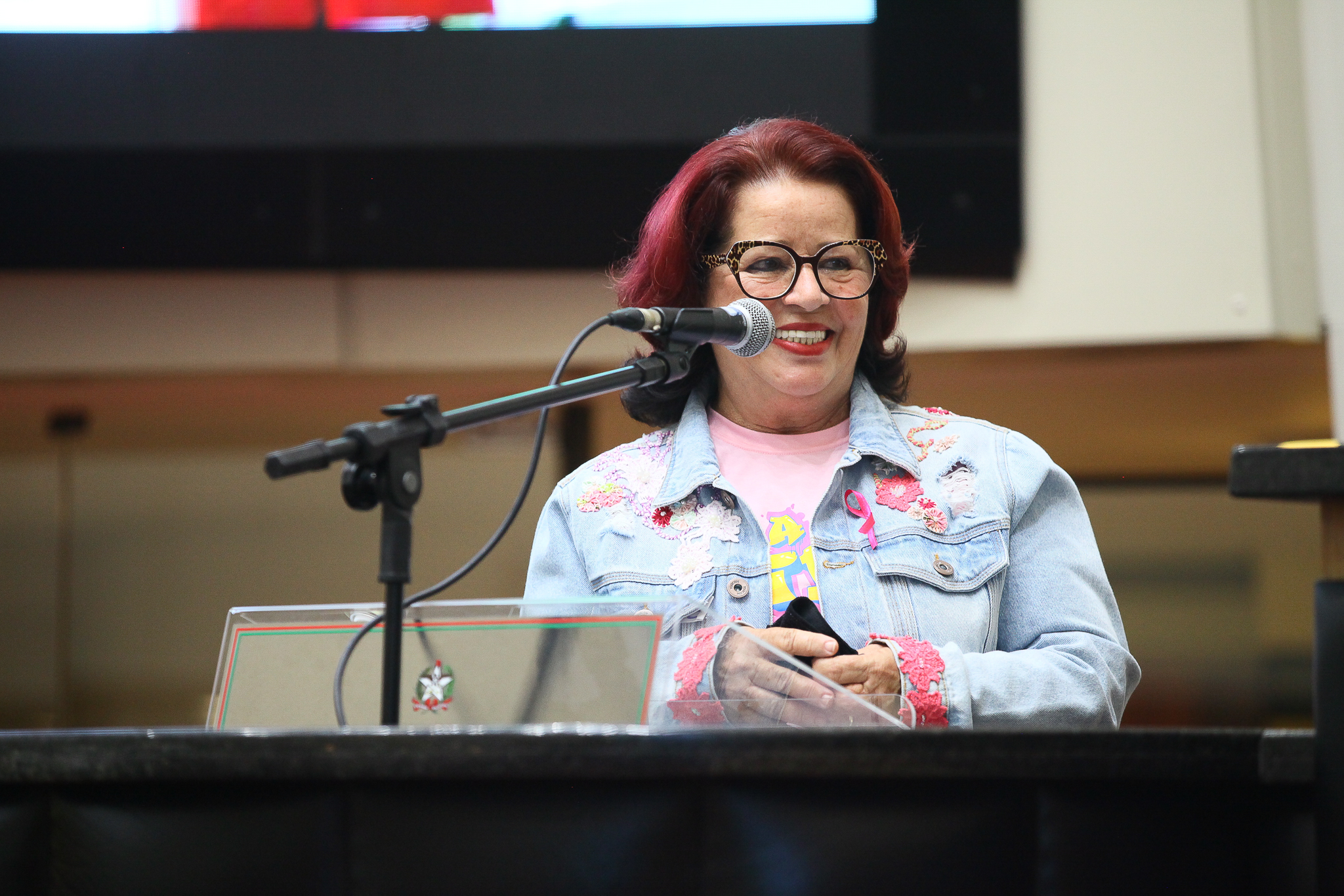 Visita da AMUCC ao Plénário - Célia Fernandes