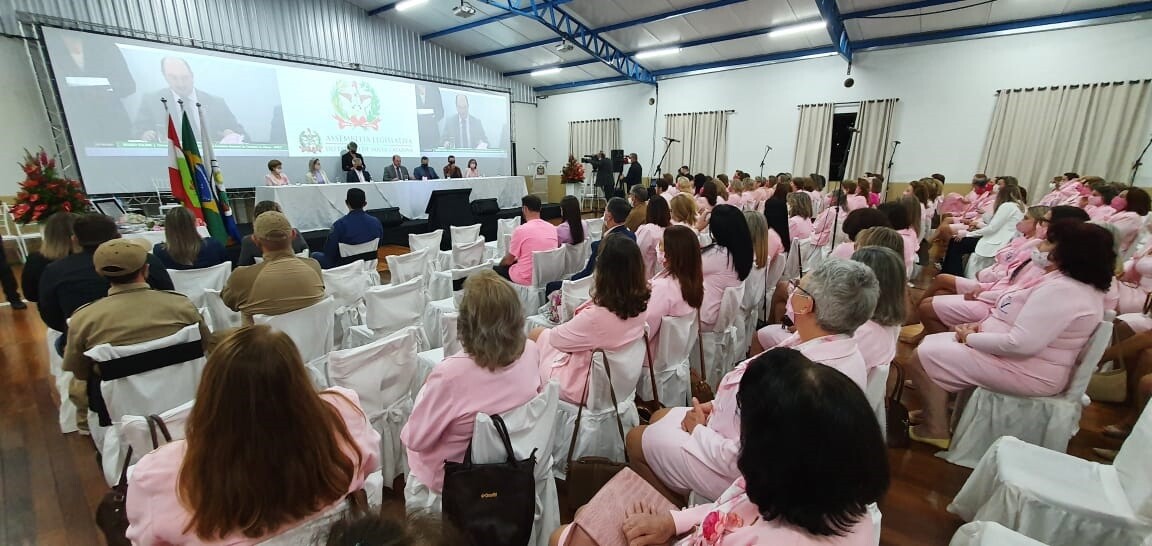 Sessão celebra os 60 anos da Rede Feminina Estadual de Combate ao Câncer