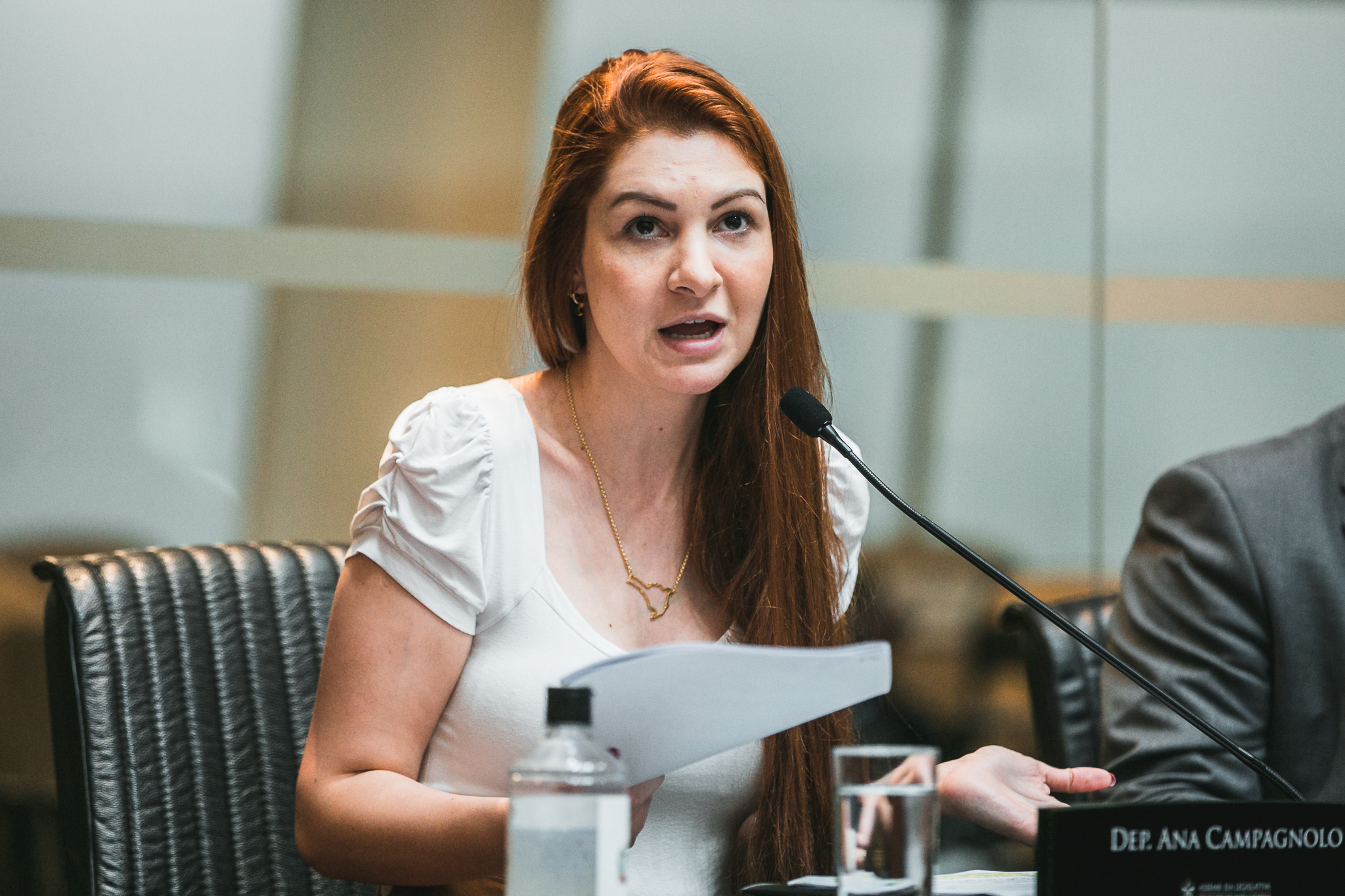 Deputada Ana Caroline Campagnolo (PSL)