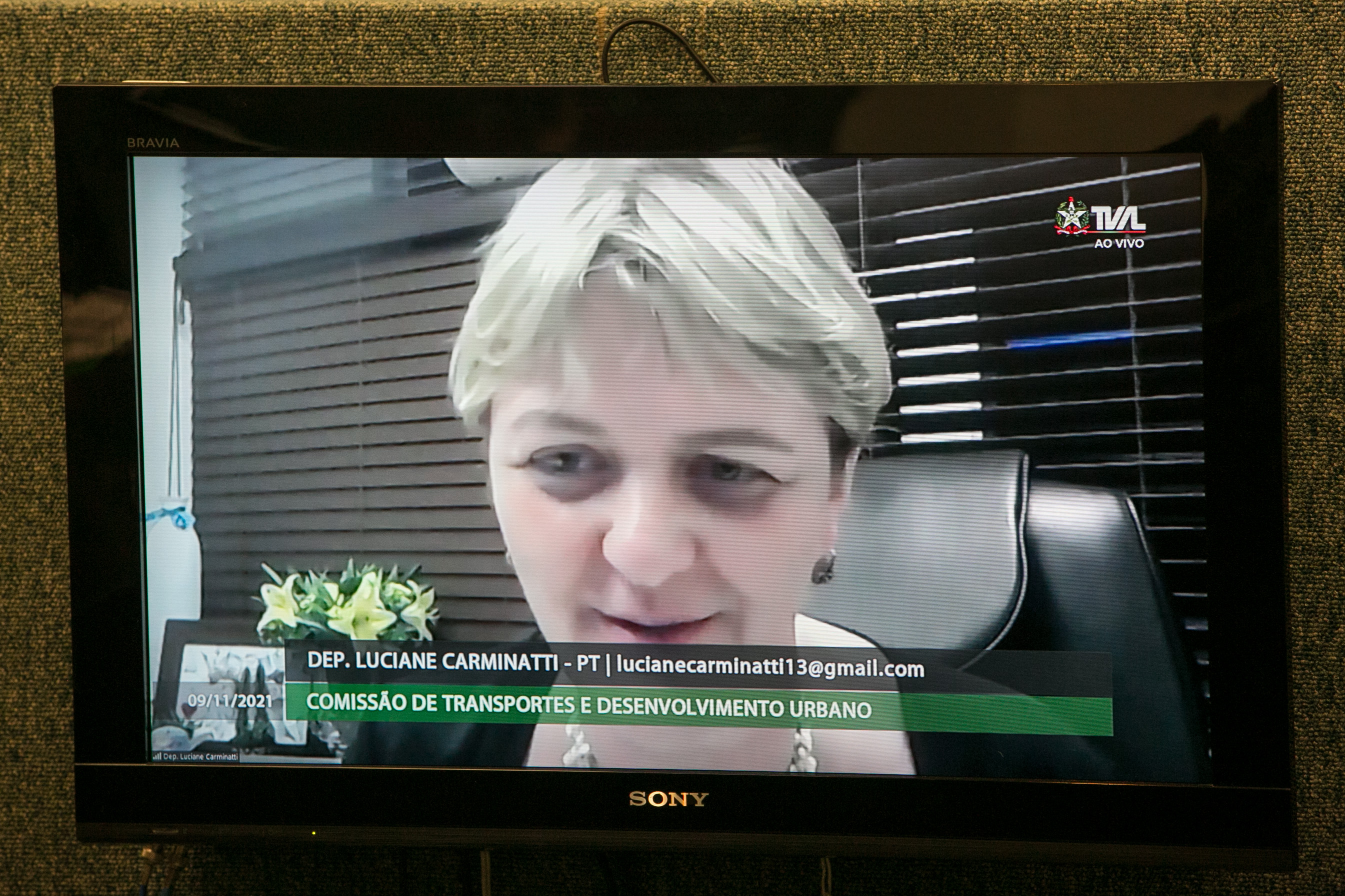 Deputada Luciane Carminatti (PT)