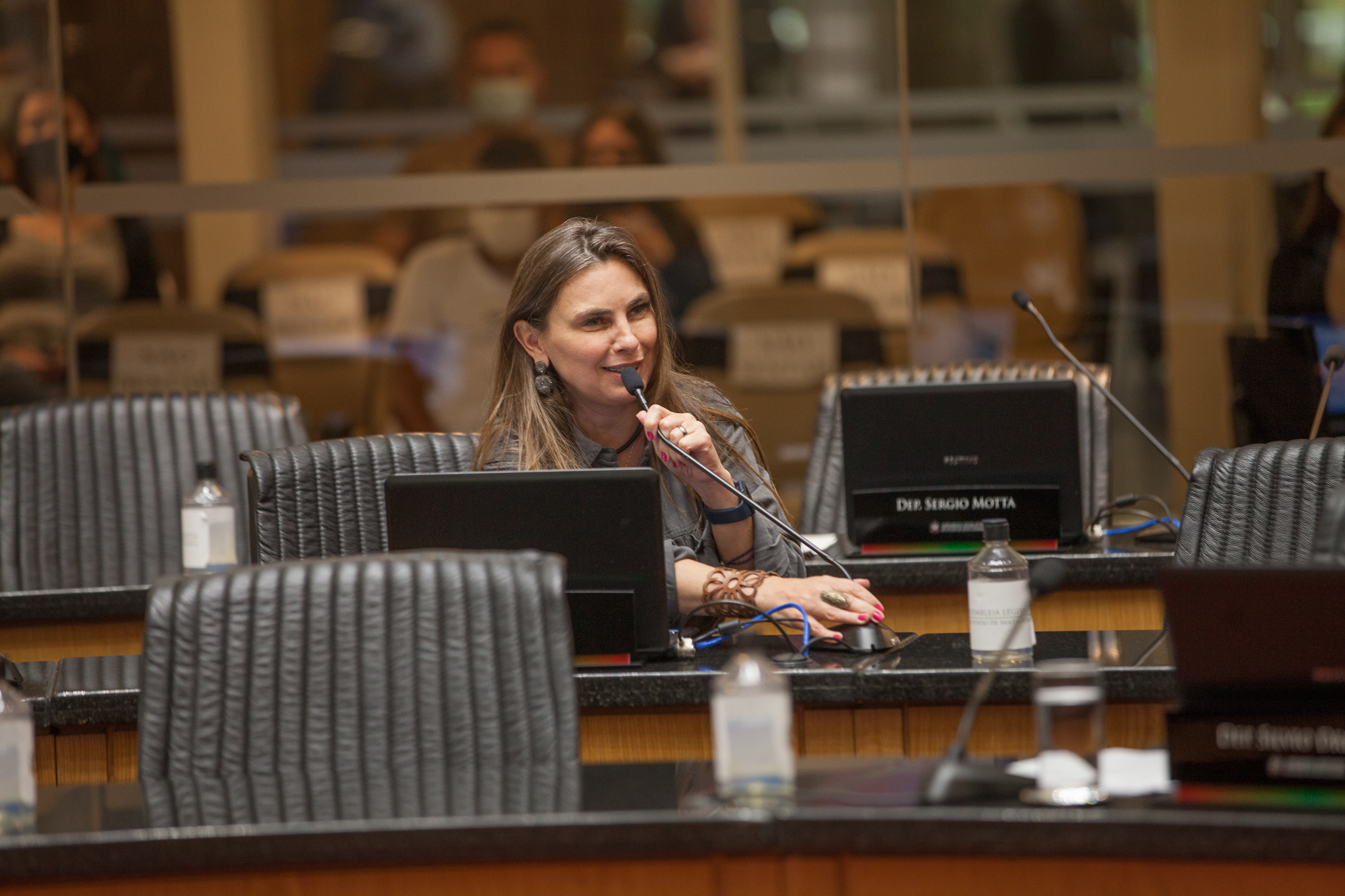 Deputada Paulinha (Sem Partido)