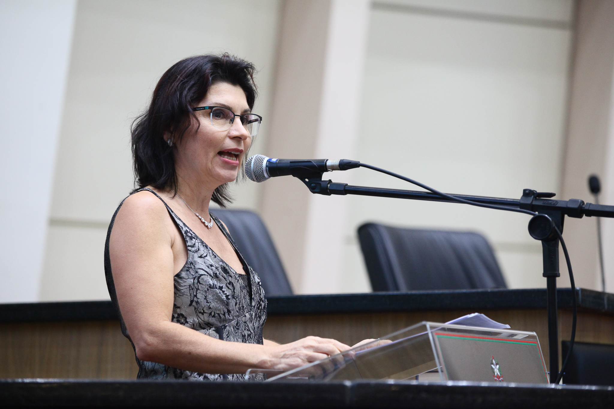Plenário - Manifestação da Escritora Ana Lavratti sobre o livro 