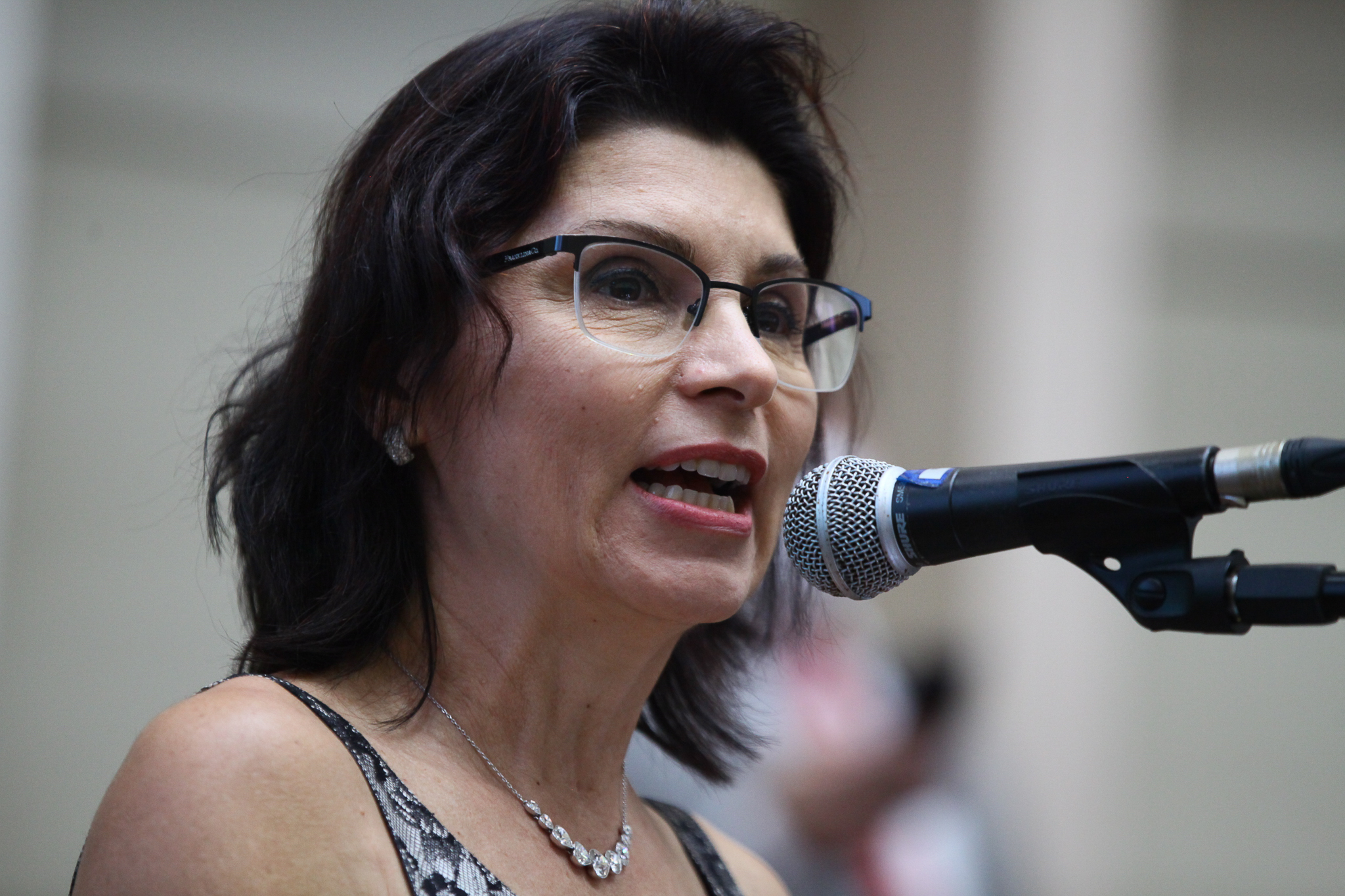 Plenário - Manifestação da Escritora Ana Lavratti sobre o livro 