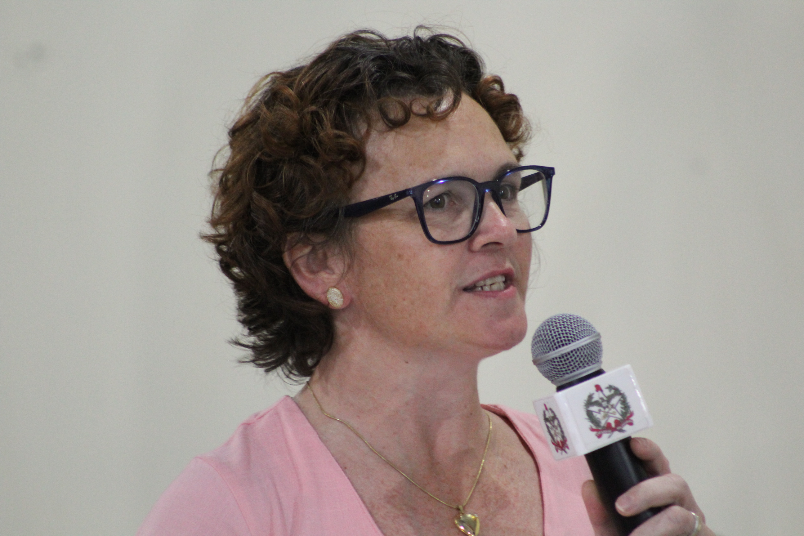 Audiência Pública - Comissão de Transportes - Elizangela Dalabrida