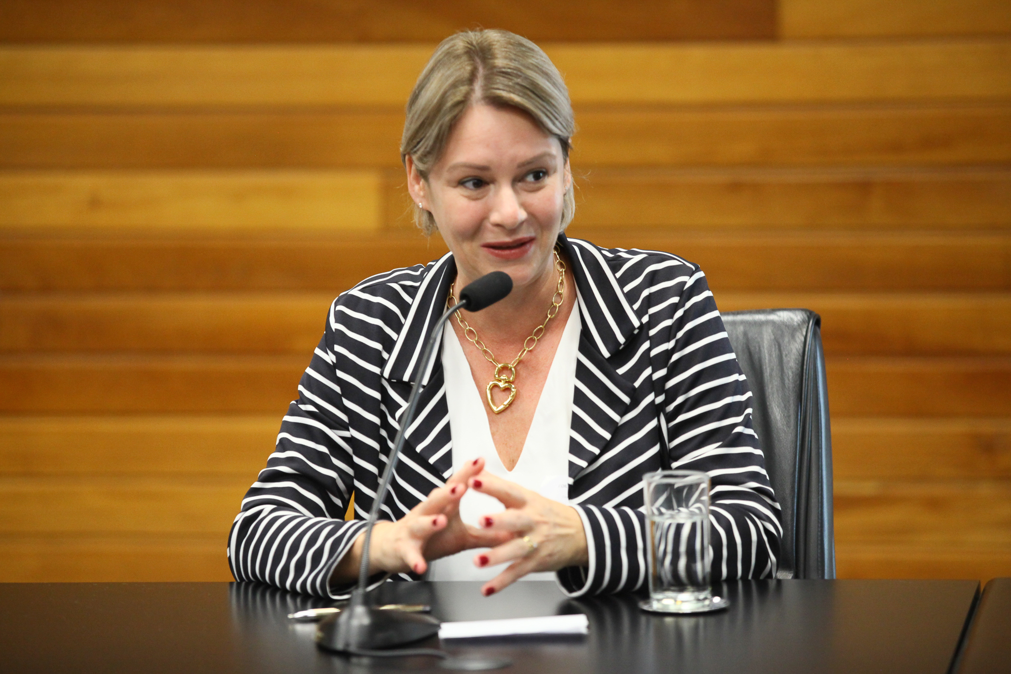 Comissão de Agricultura e Política Rural - Ddilene Steinwandter