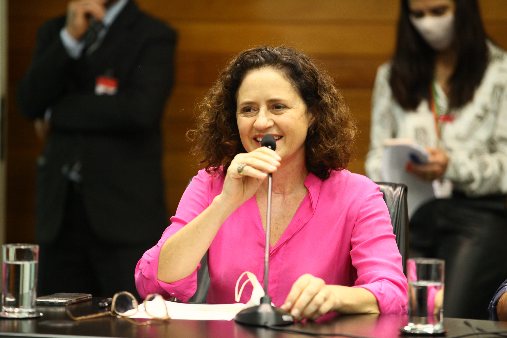 Comissão de Agricultura e Política Rural - Deputada Marlene Fengler (PSD)