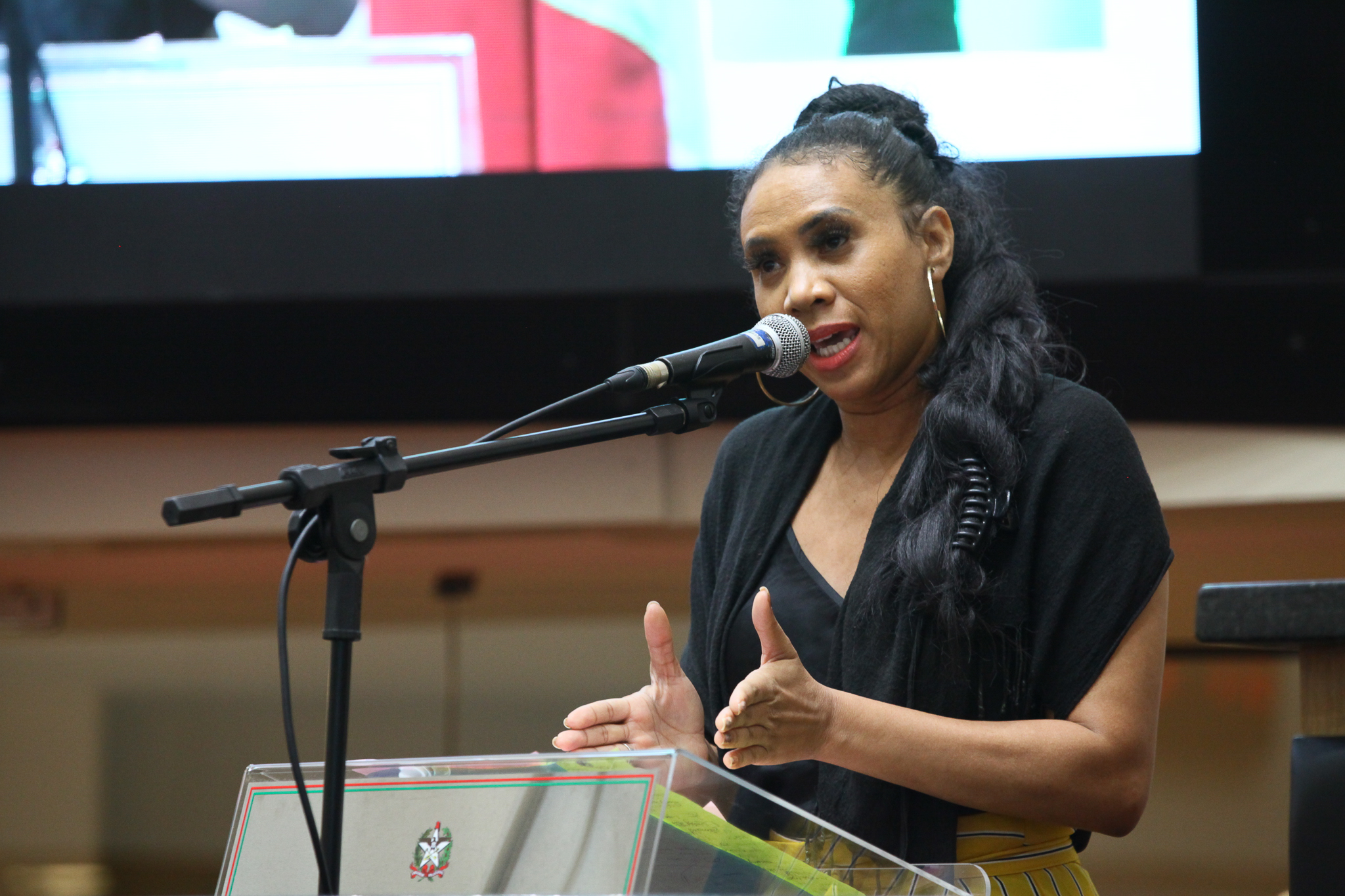 Giselle Marques - Referências ao Dia da Consciência Negra