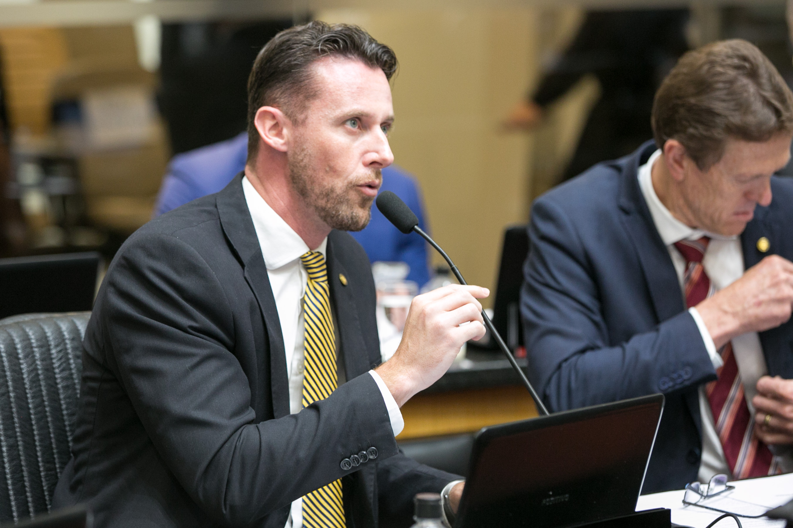 Deputado Fernando Krelling (MDB)