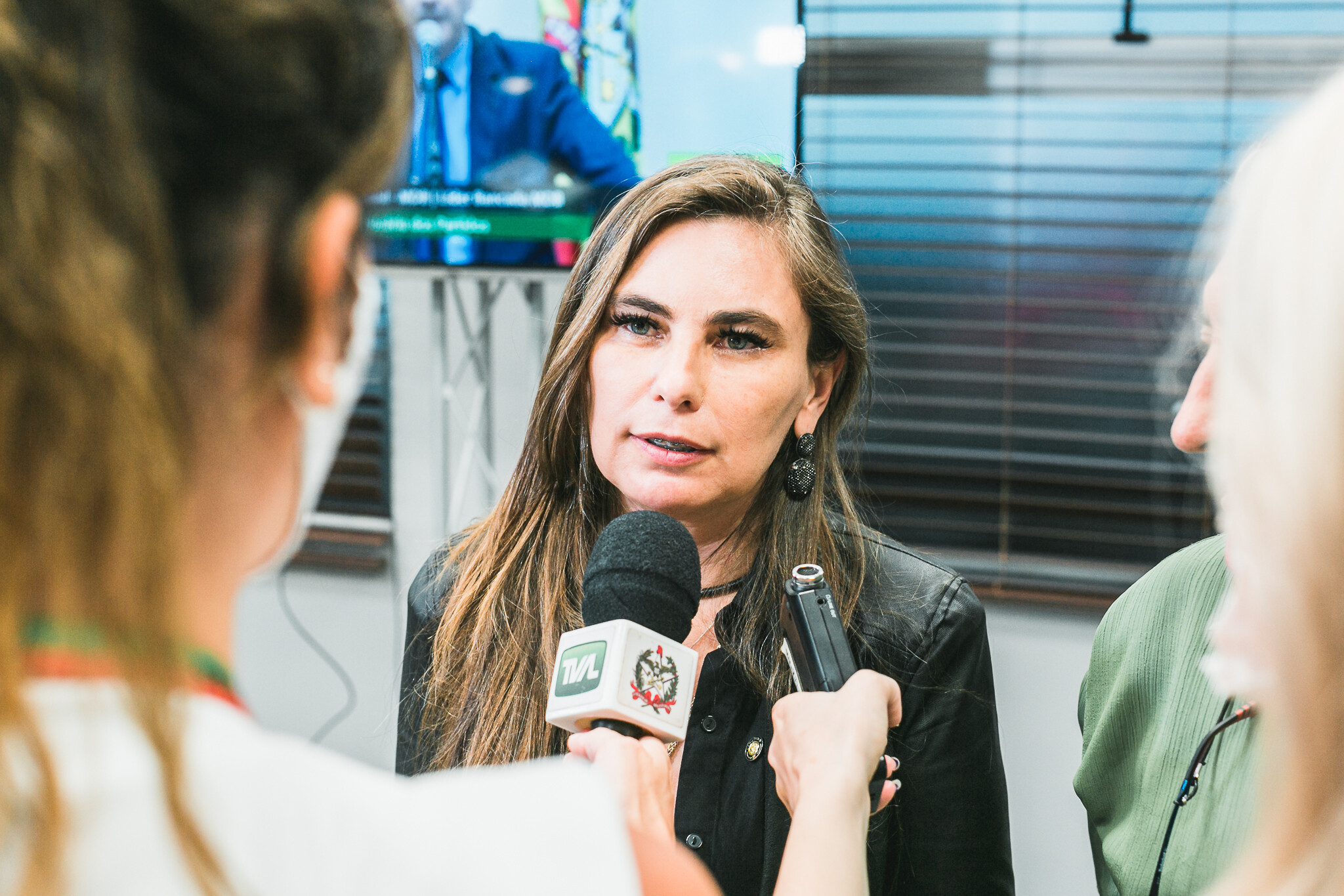 Deputado Paulinha