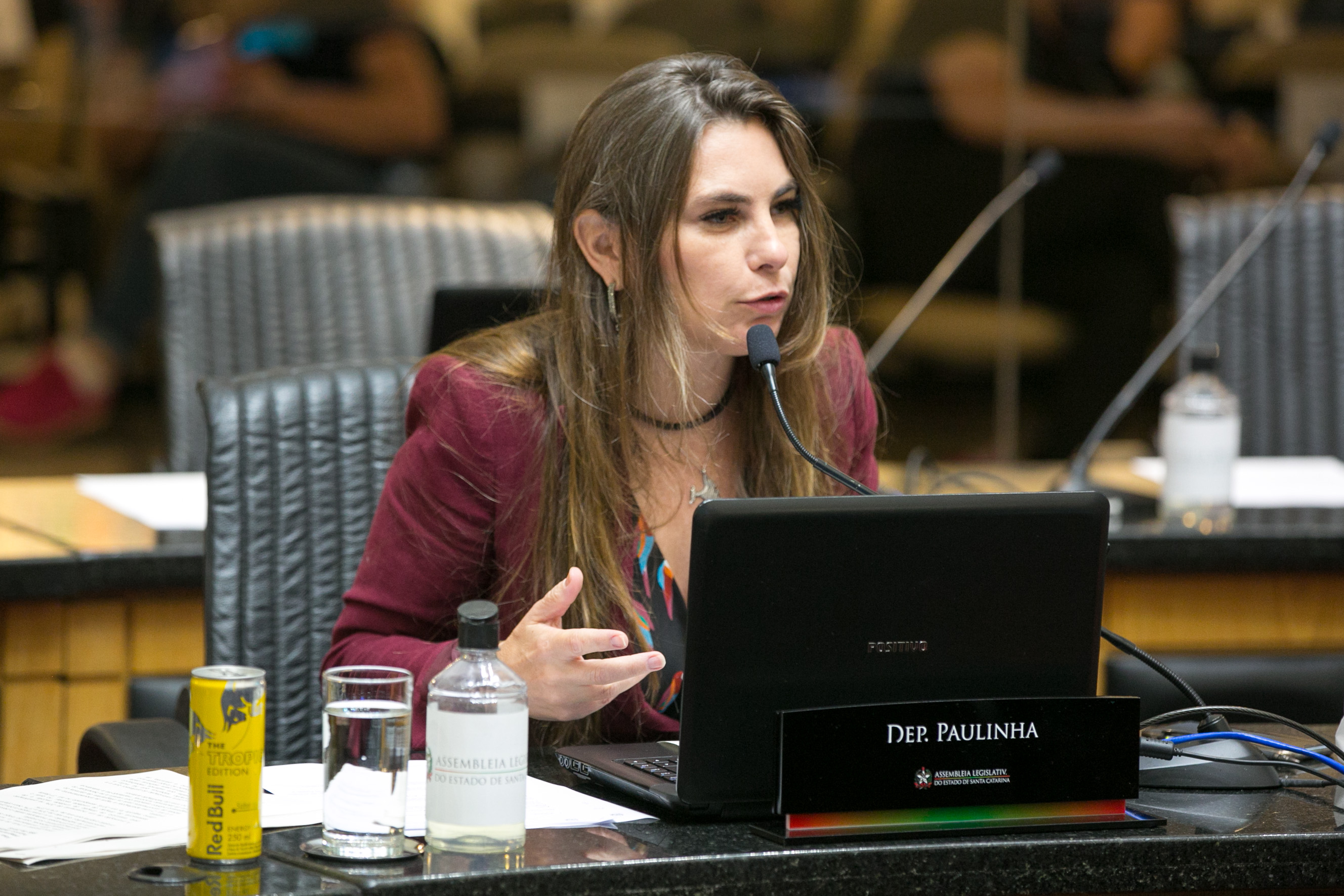 Deputada Paulinha (sem partido)