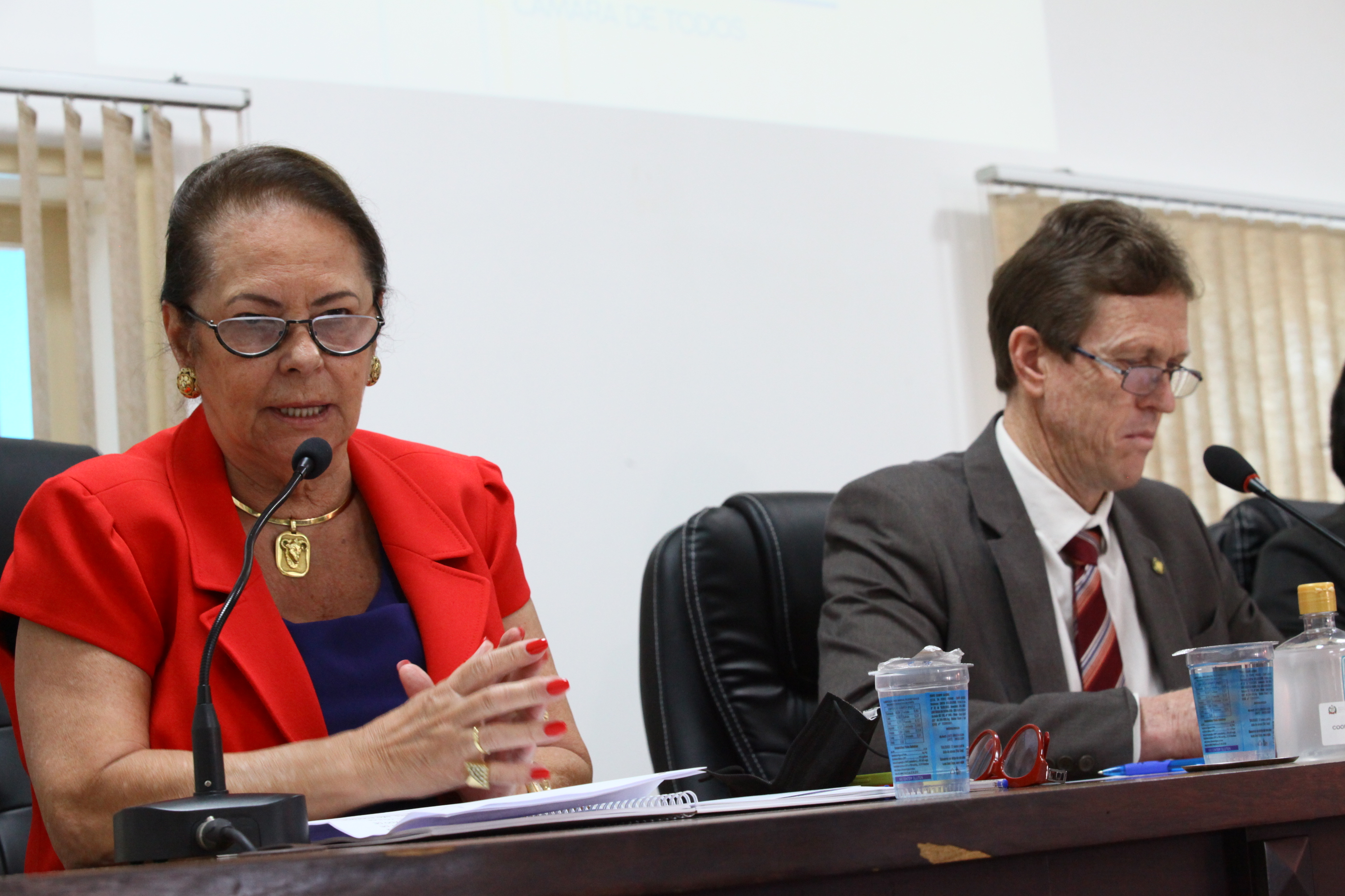 Audiência Pública da Comissão Mista sobre o processo de estudo da desestatização dos portos catarinenses - Deputada Ada Faraco de Luca (MDB)