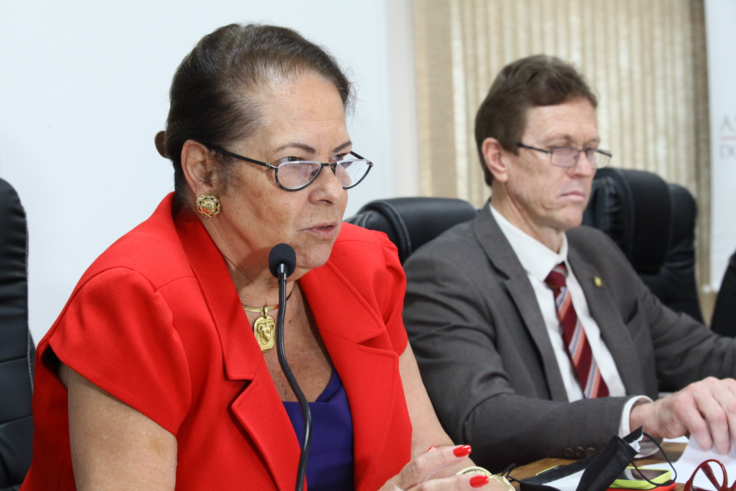 Audiência Pública da Comissão Mista sobre o processo de estudo da desestatização dos portos catarinenses - Deputada Ada Faraco de Luca (MDB)