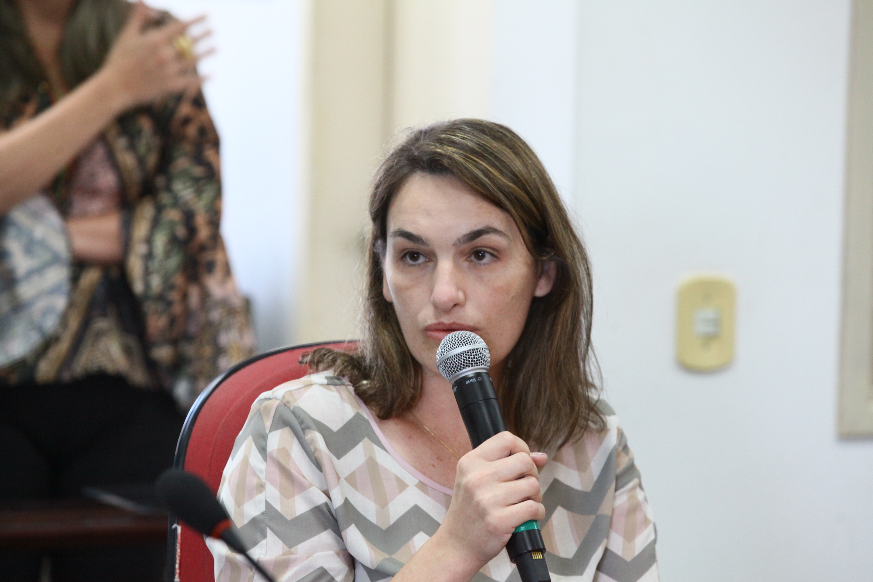 Audiência Pública da Comissão Mista sobre o processo de estudo da desestatização dos portos catarinenses - Gilmara Warmling (TCE)