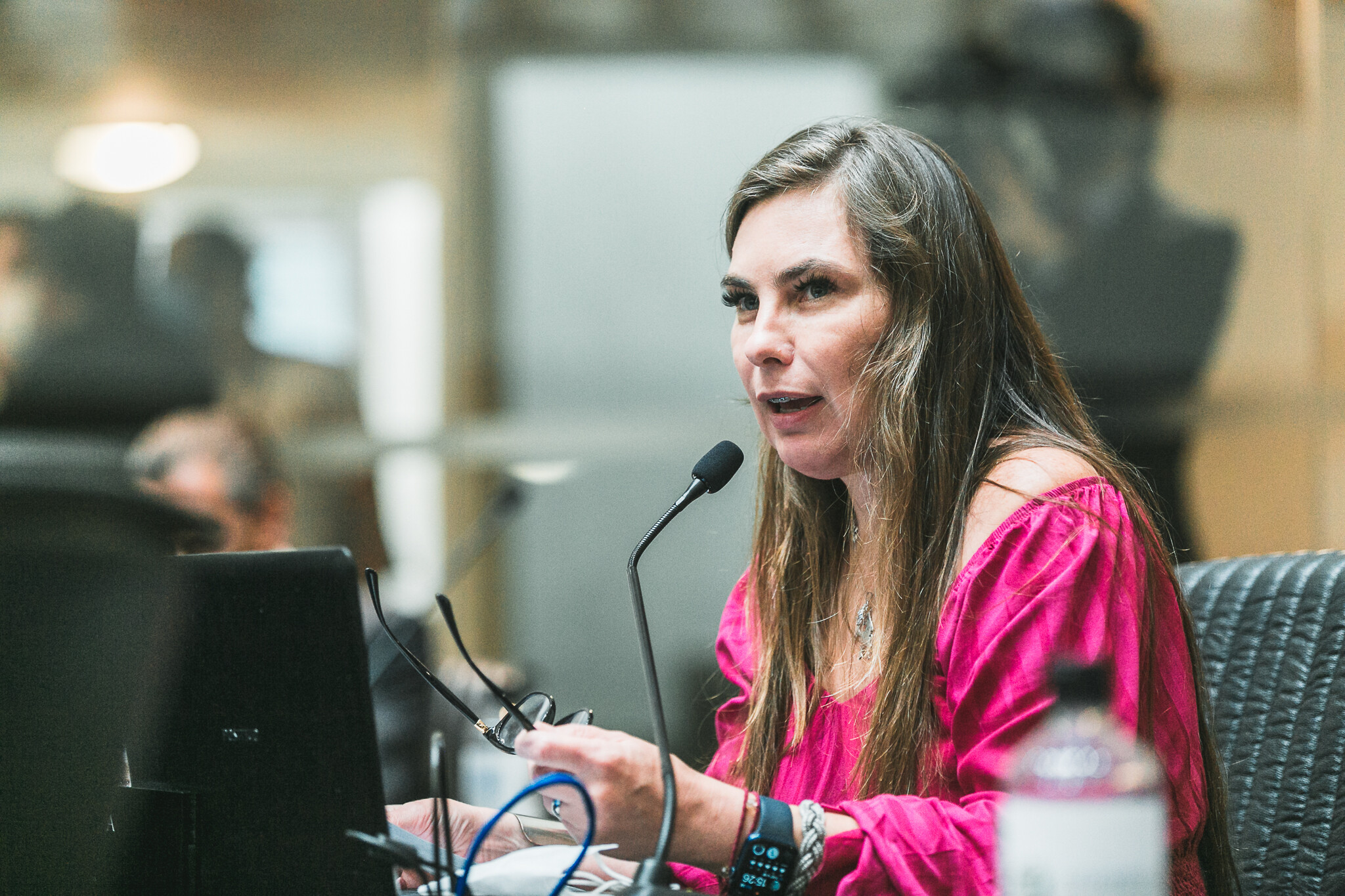 Paulinha enaltece criação de Política Estadual de Transição Energética Justa