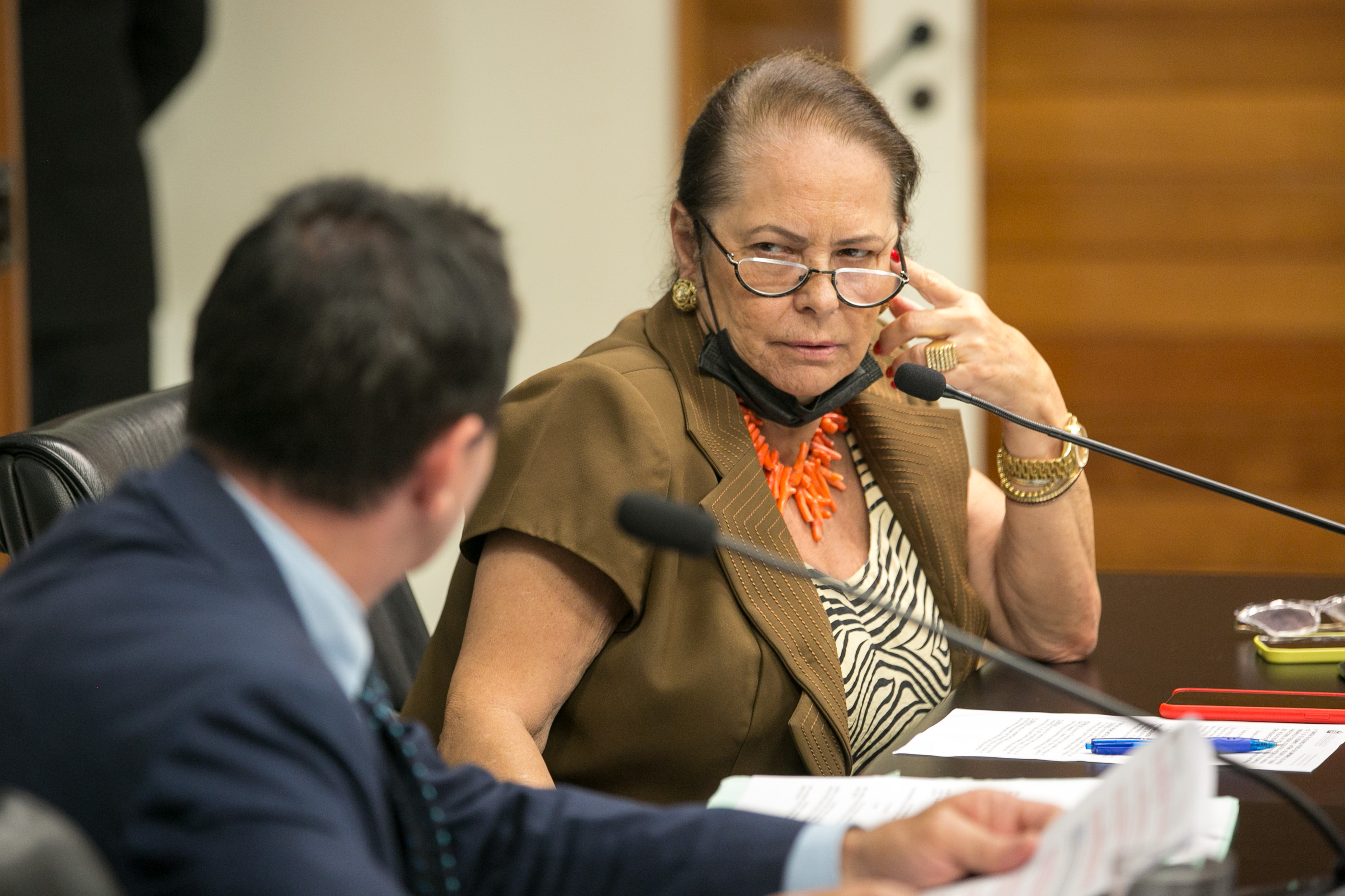 Deputada Ada De Luca (MDB)