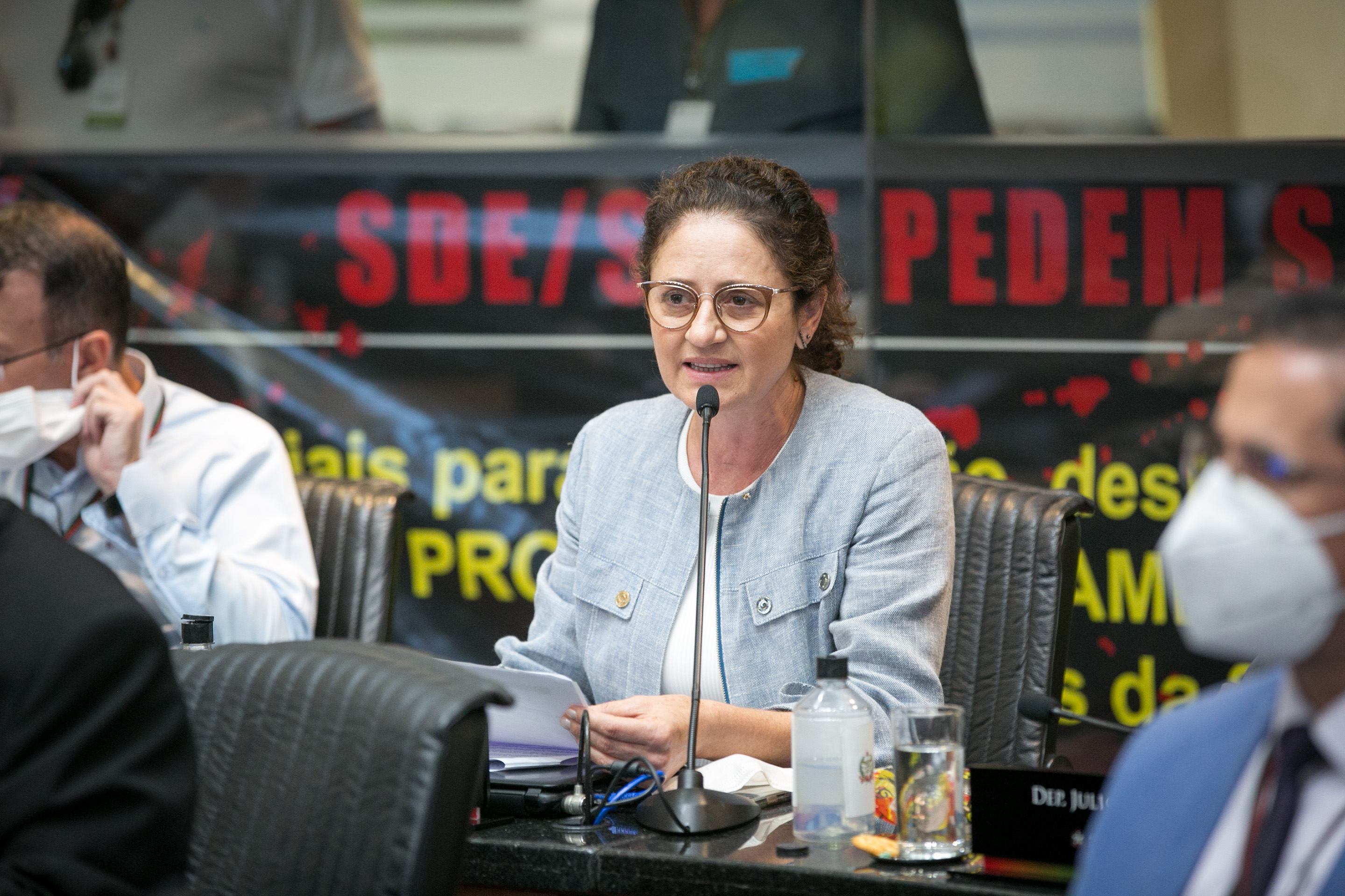 Deputada Marlene Fengler (PSD)