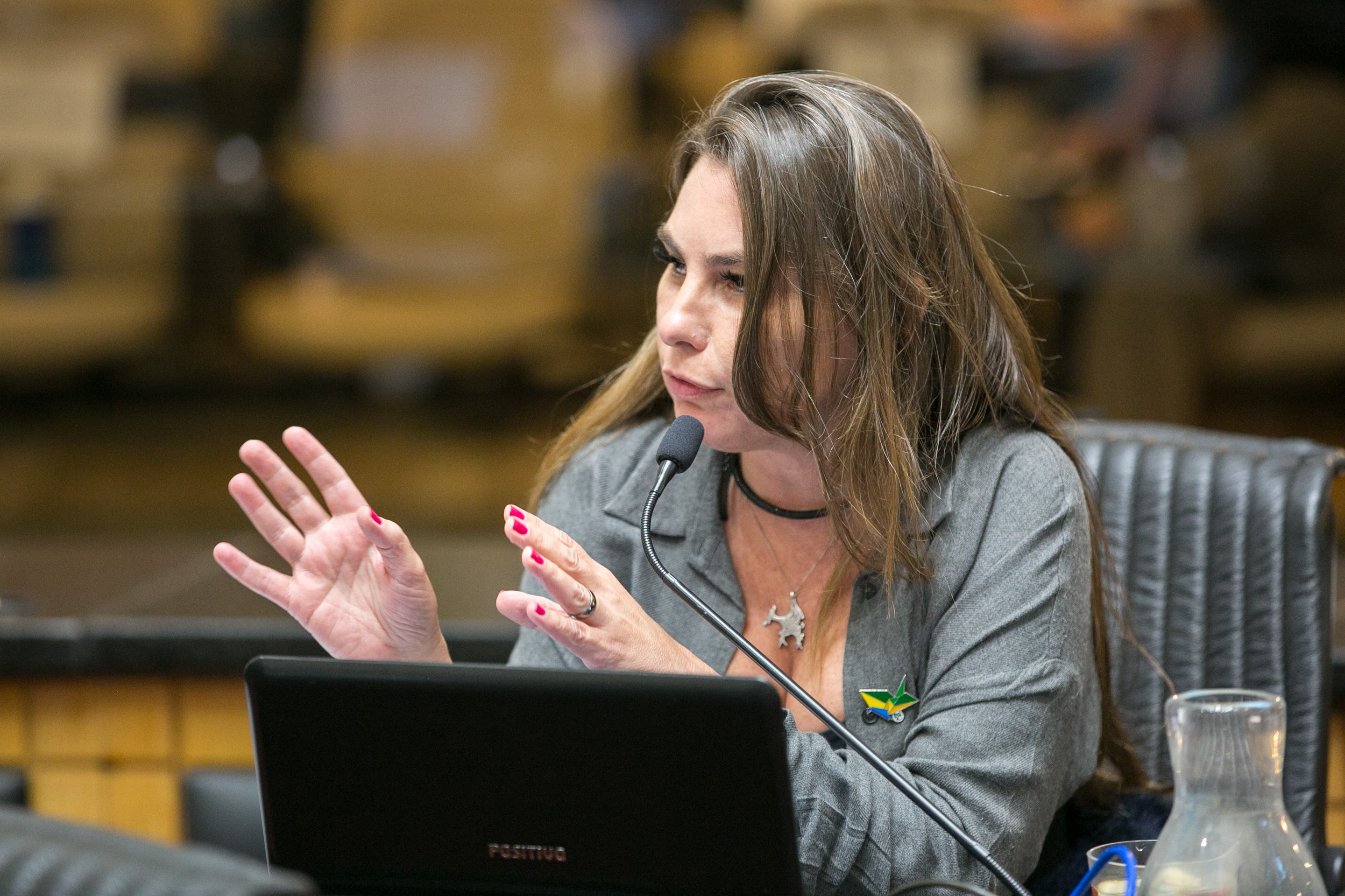 Deputada Paulinha (sem partido)