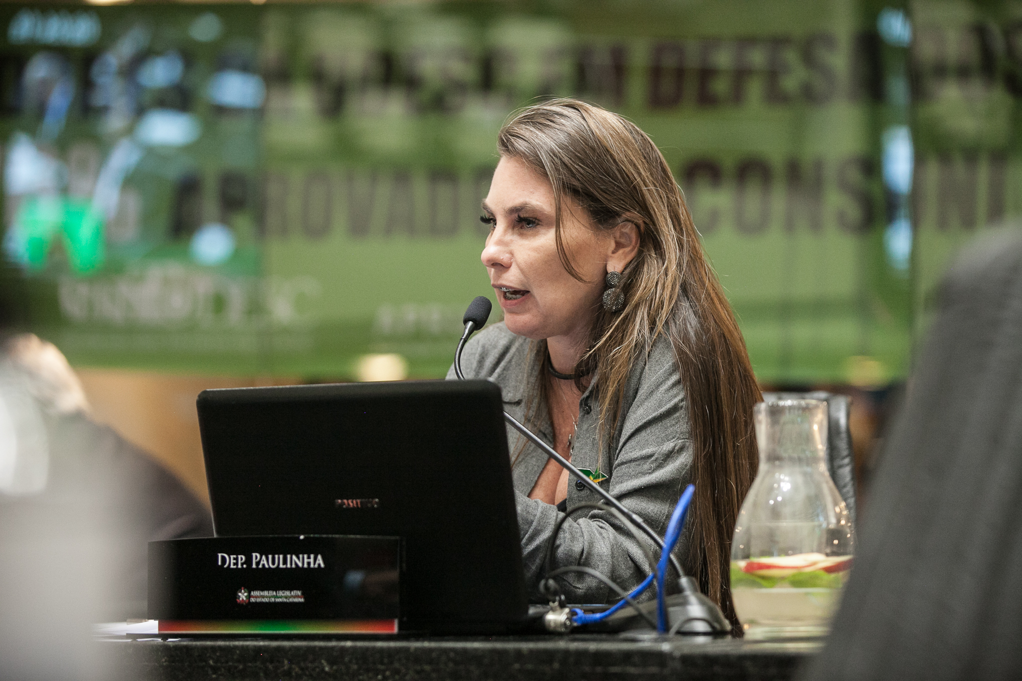 Deputada Paulinha (Sem Partido)