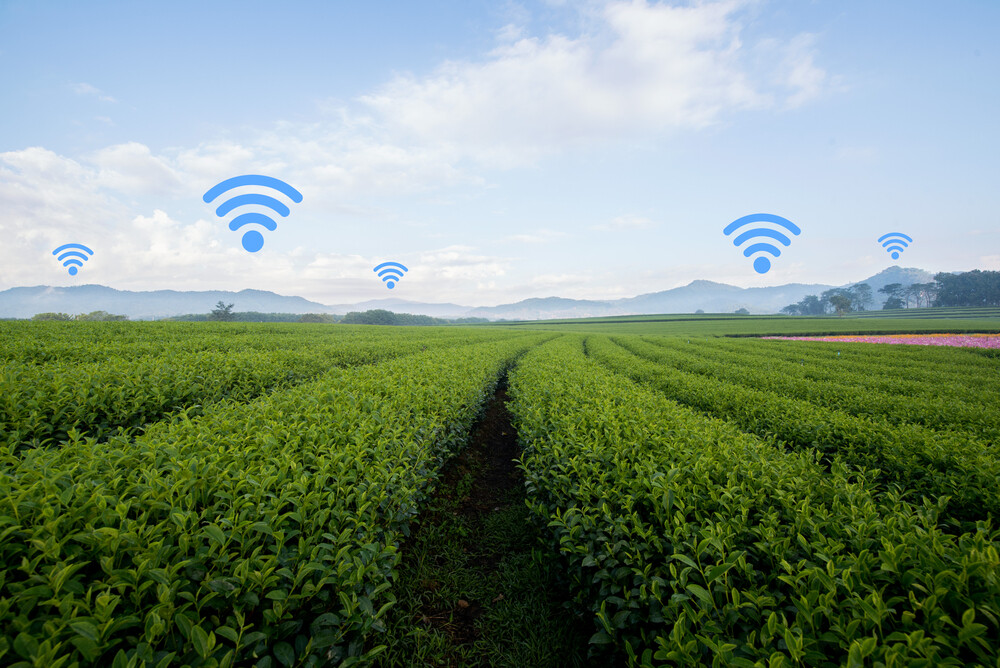 Estado anuncia repasse de recursos para internet rural em Orleans e Treze de Maio